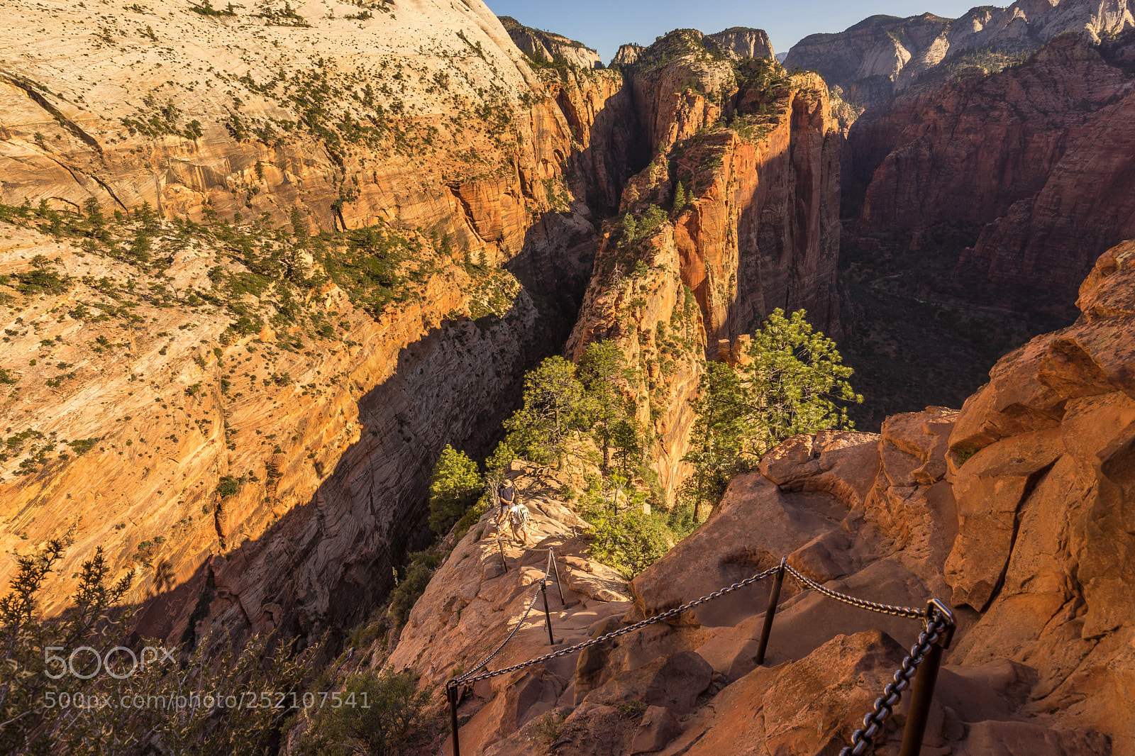 Sony a7R sample photo. Trail from angel's landing photography