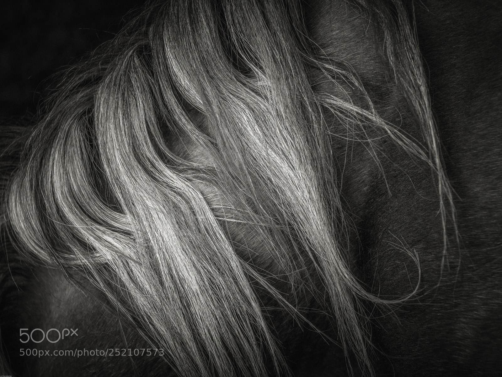Nikon D810 sample photo. Untitled photography