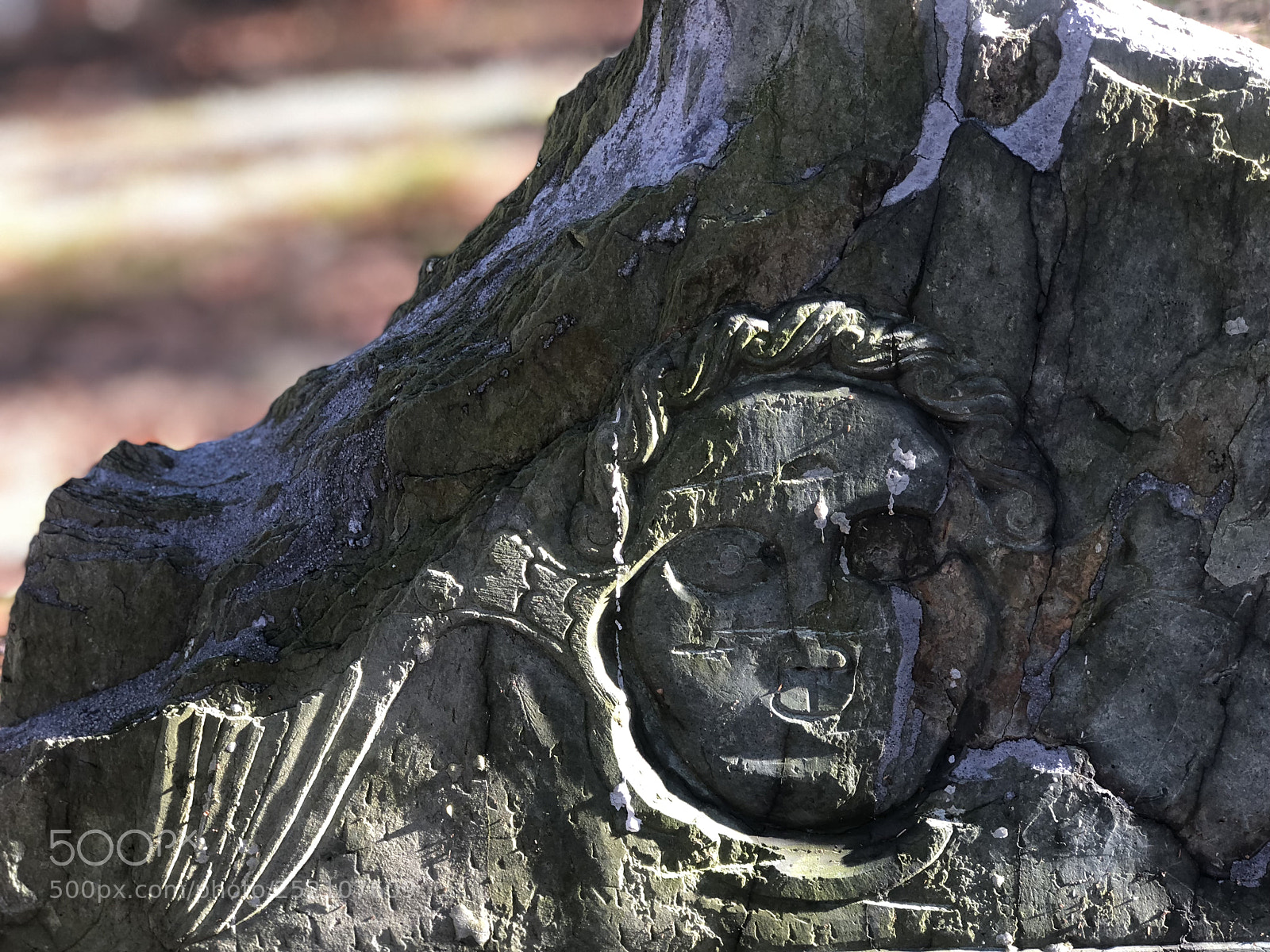 Apple iPhone 8 Plus sample photo. Myles standish burial ground photography