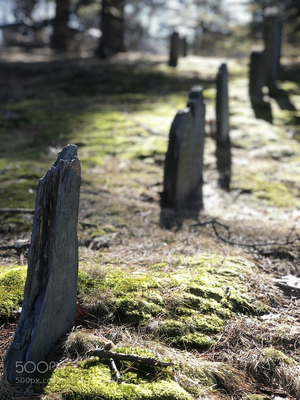 Apple iPhone 8 Plus sample photo. Myles standish burial ground photography