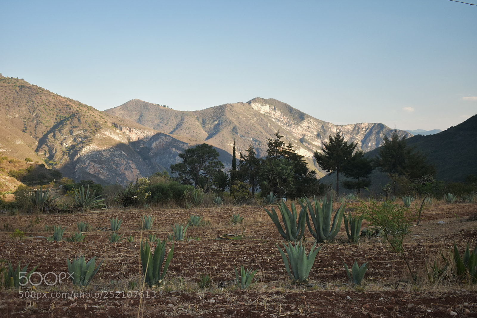 Nikon D3400 sample photo. Sierra. photography