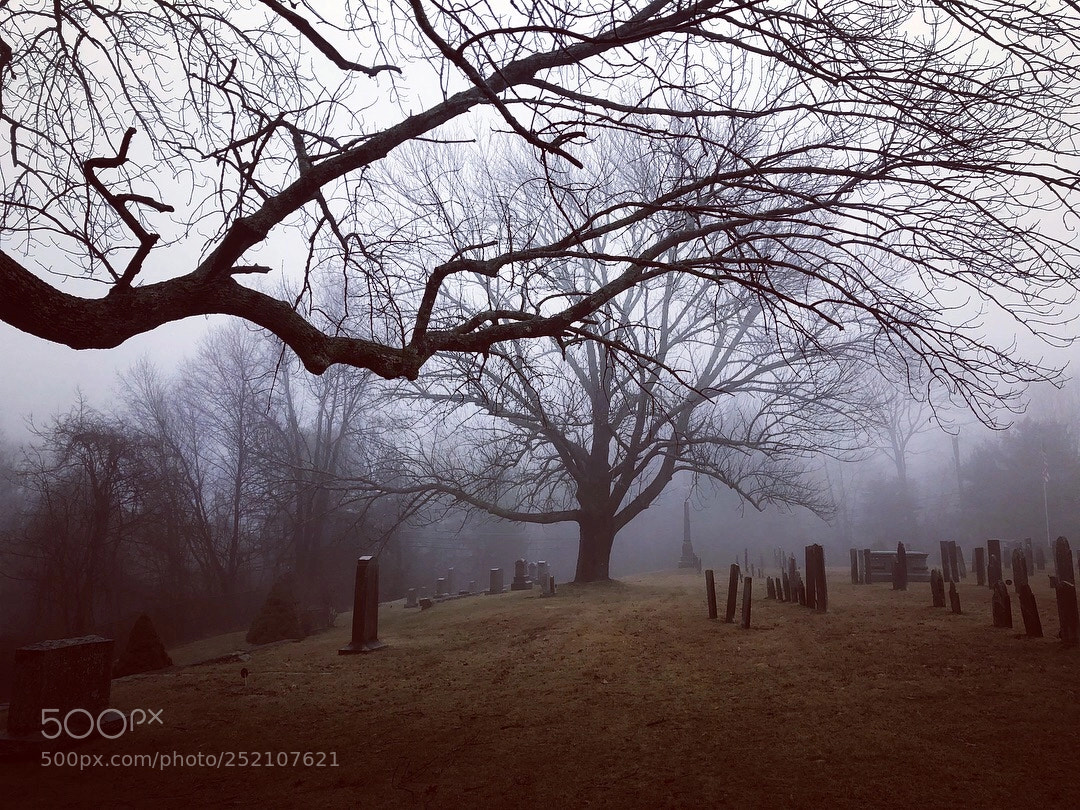 Apple iPhone 8 Plus sample photo. Nathan hale cemetery, ct photography