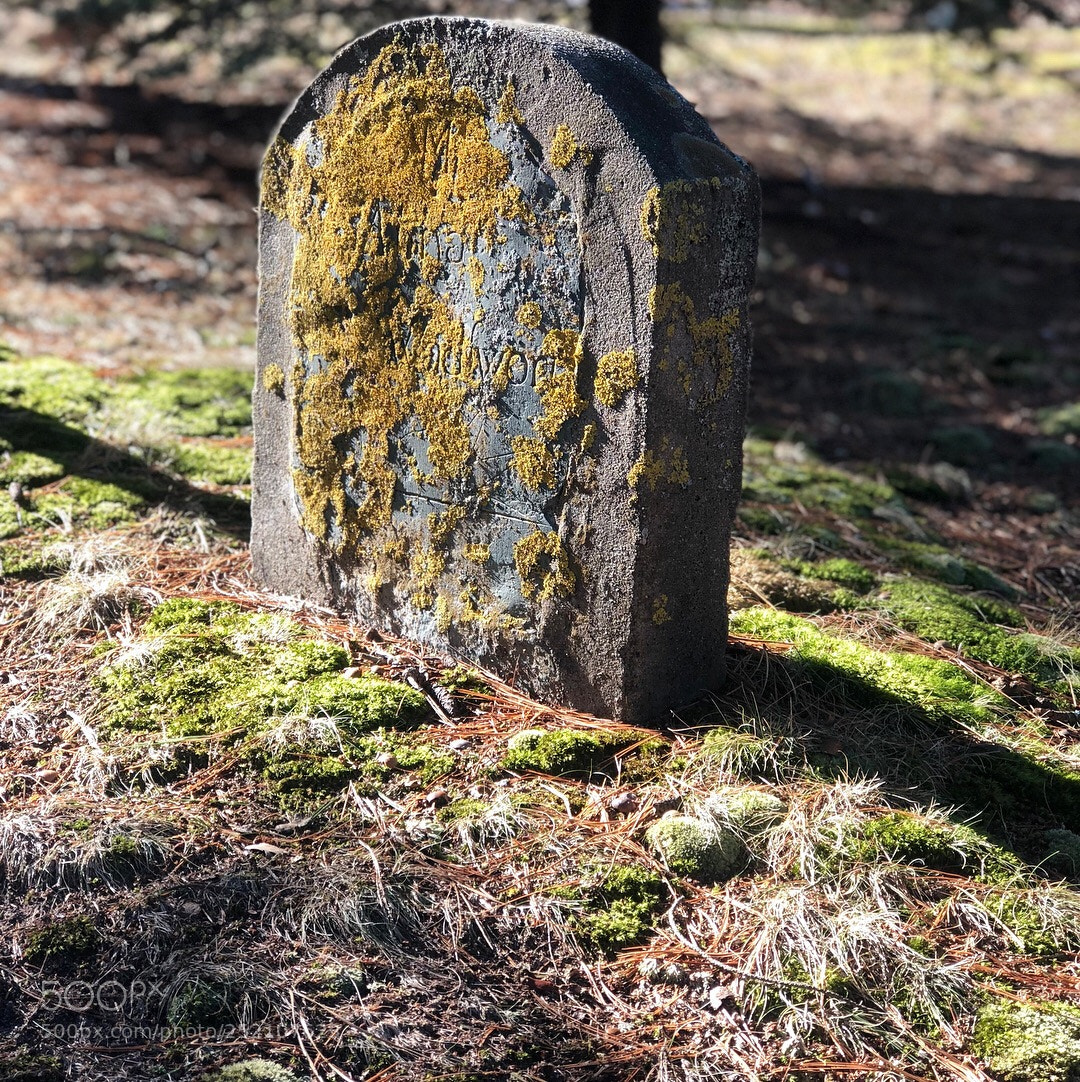Apple iPhone 8 Plus sample photo. Myles standish burial ground photography