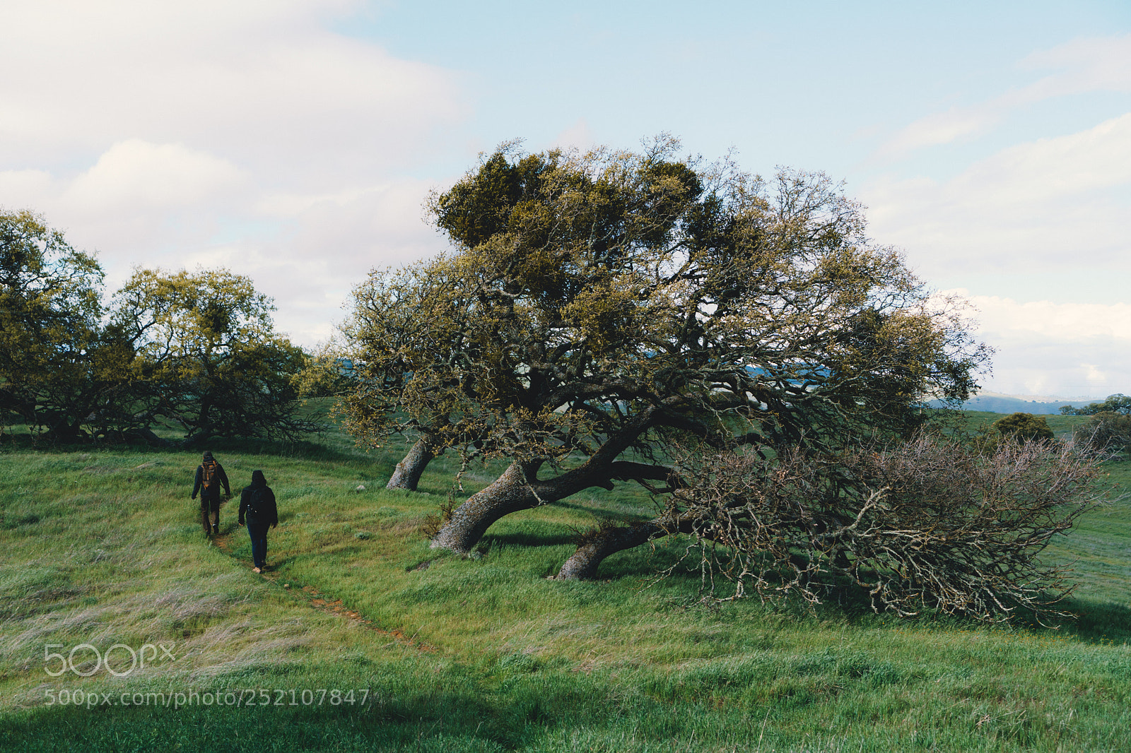 Sony a6000 sample photo. Windy photography