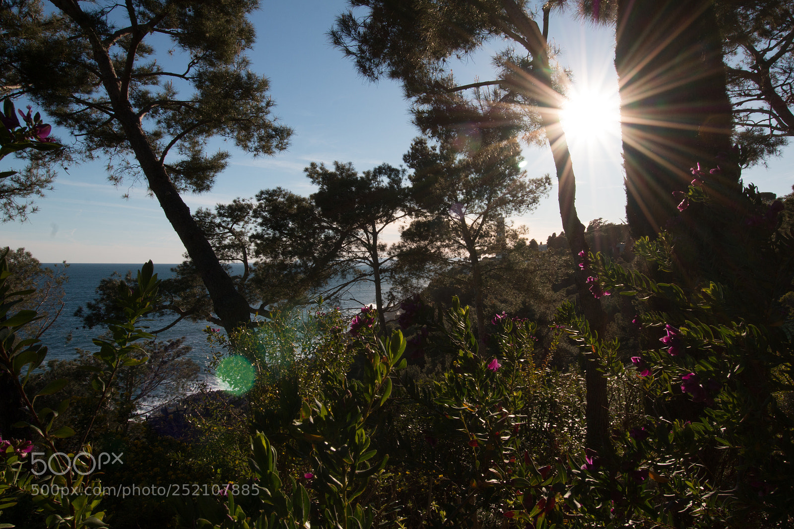 Canon EOS 70D sample photo. Img photography