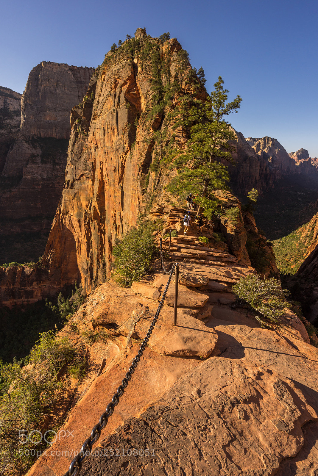 Sony a7R sample photo. Trail to angel's landing photography