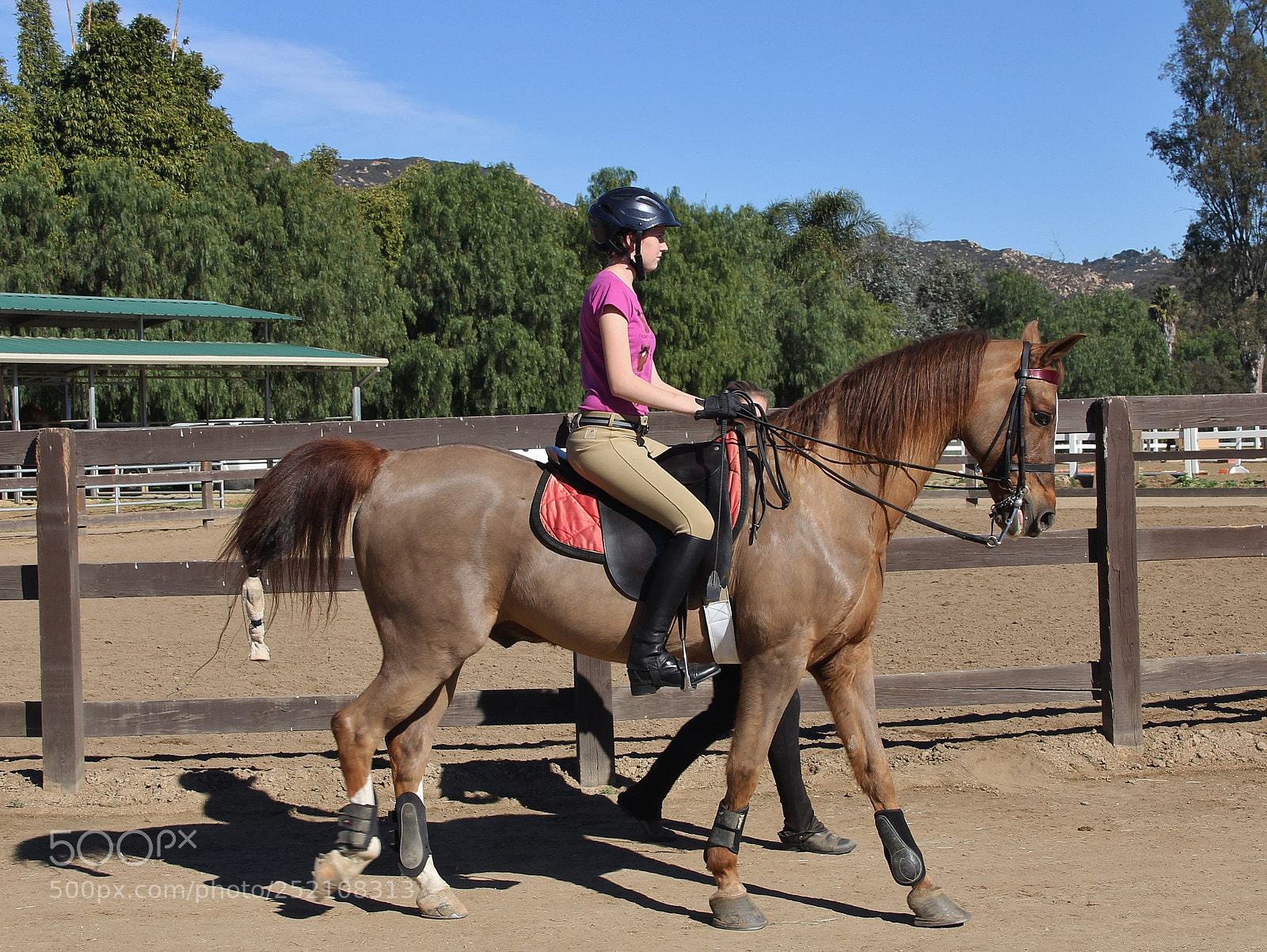 Canon EOS 60D sample photo. Rider x photography