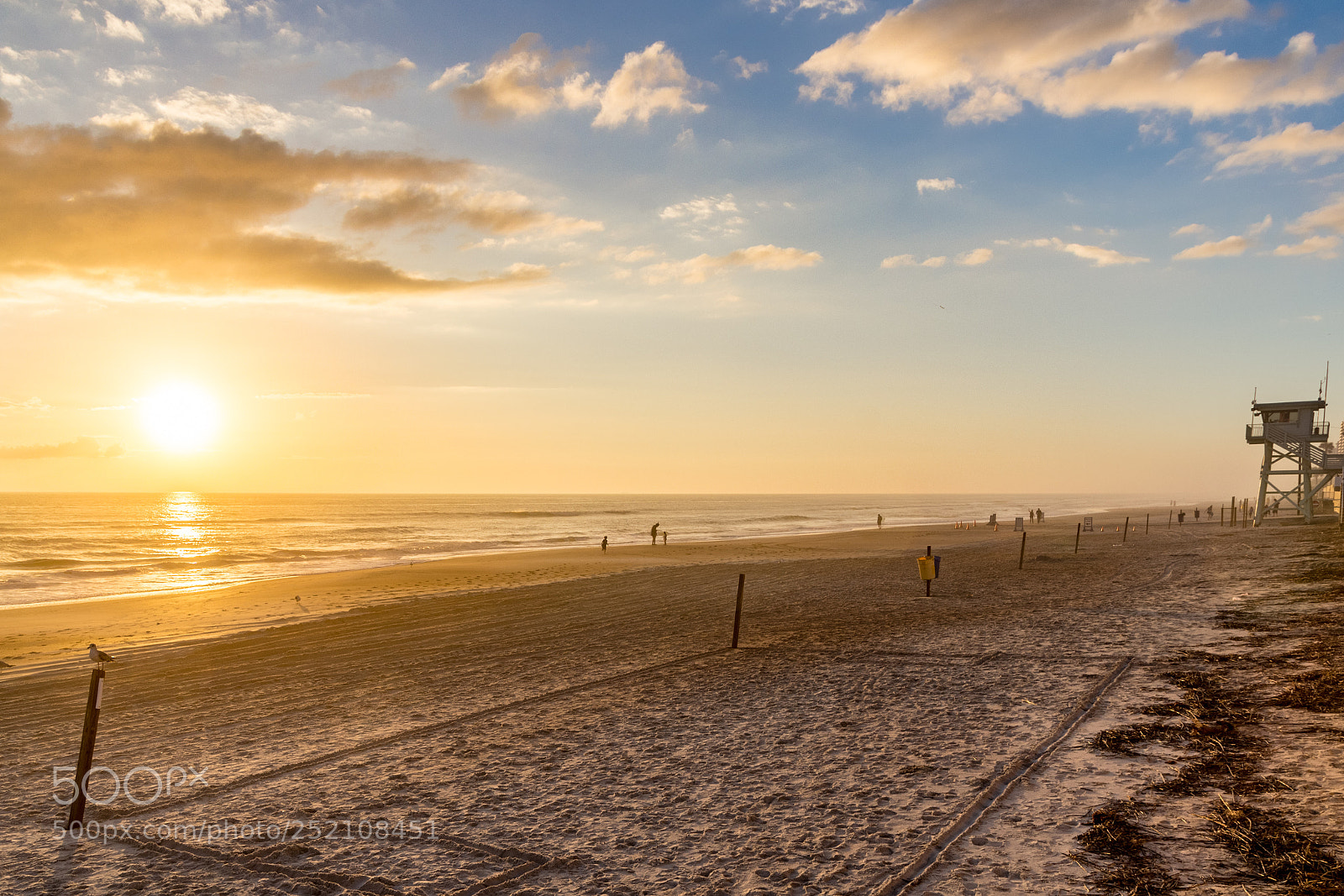 Canon EOS 600D (Rebel EOS T3i / EOS Kiss X5) sample photo. Sunrise in florida photography