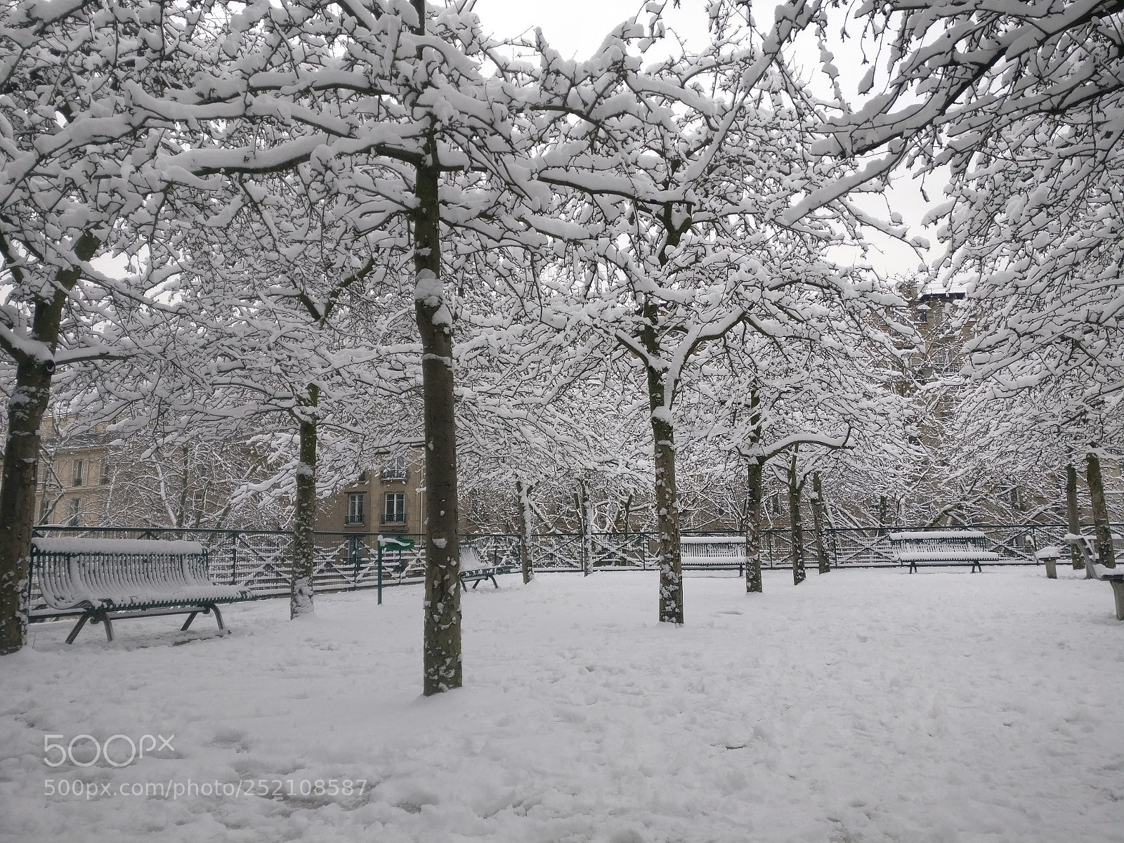 OnePlus A3003 sample photo. Daumesnil park photography