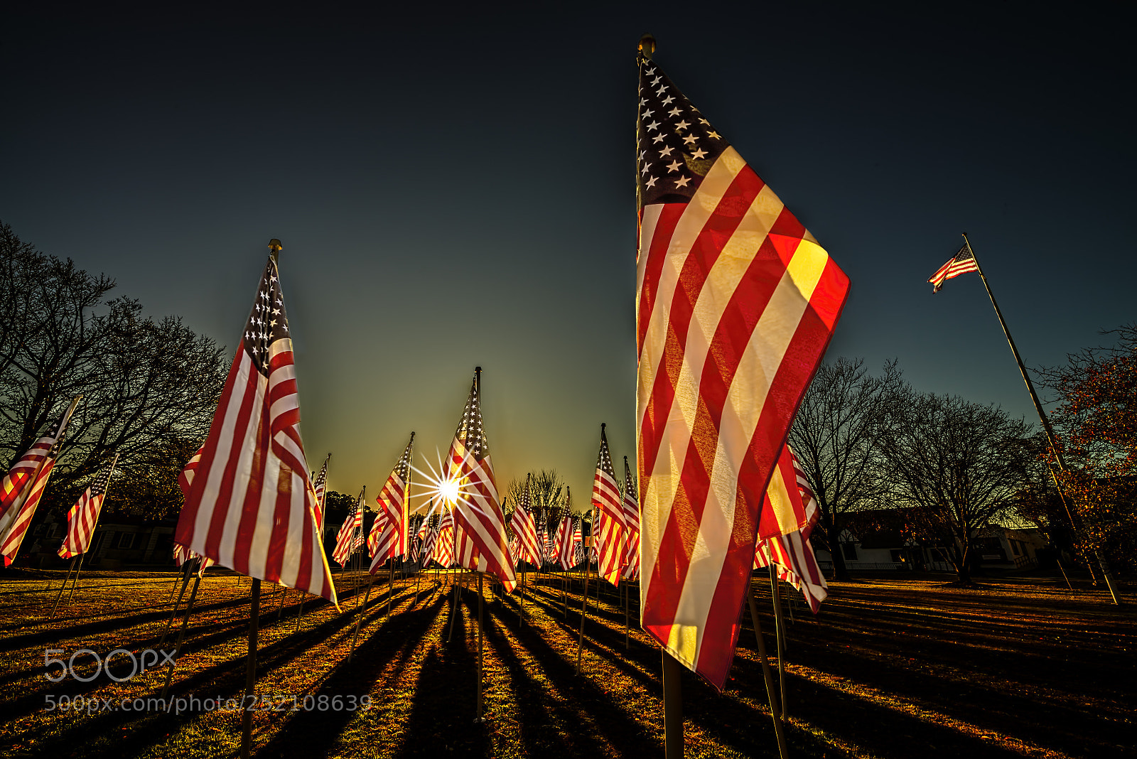 Nikon D800 sample photo. Flags, shadows photography
