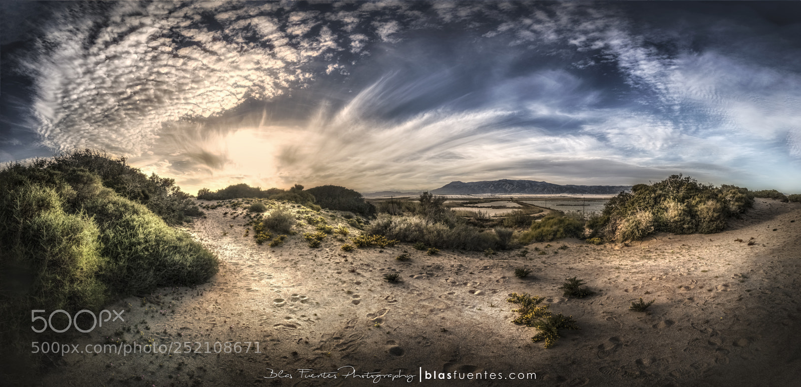 Canon EOS 5D Mark IV sample photo. Dunas de entinas photography