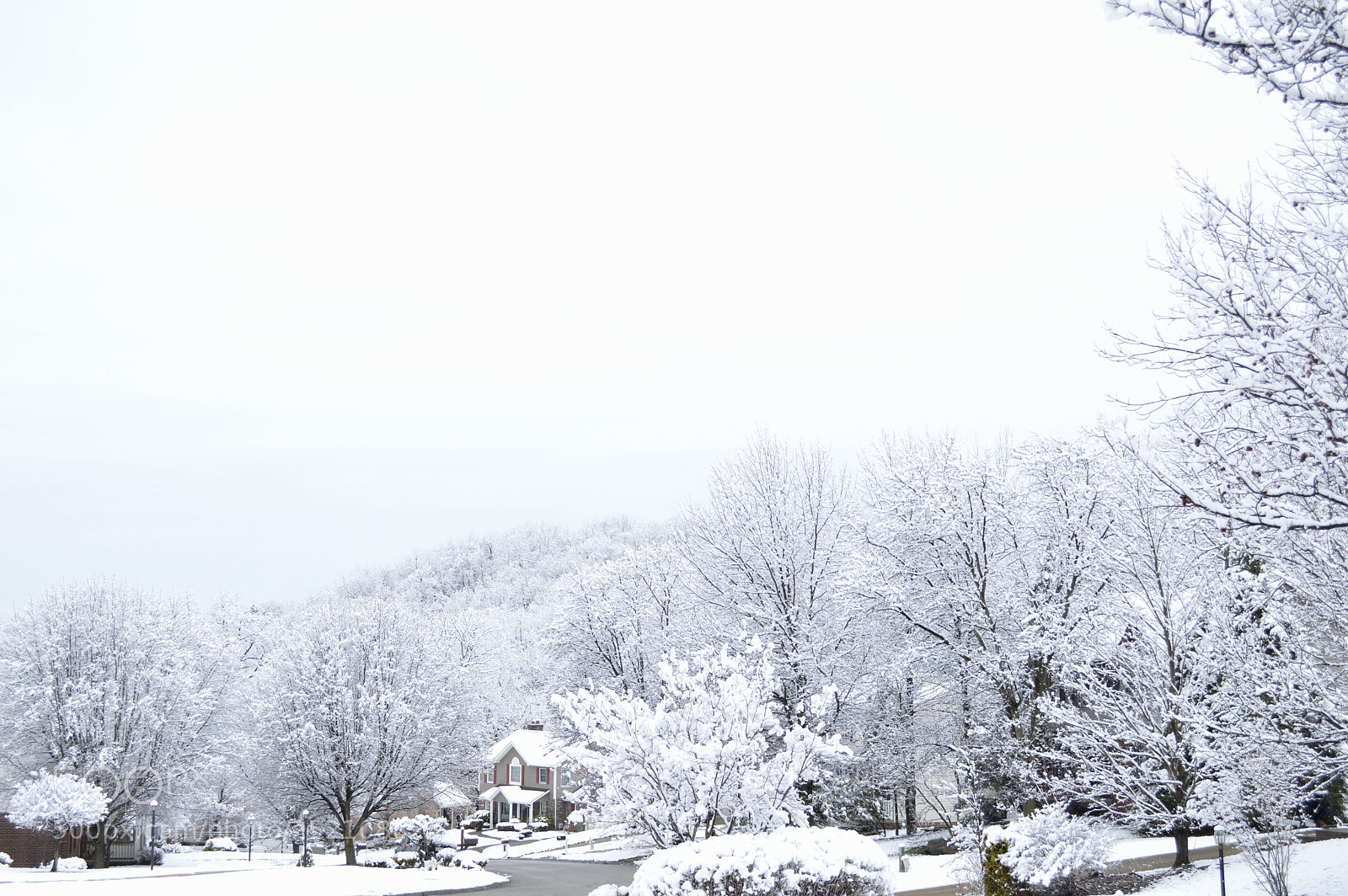 Nikon D3200 sample photo. April snowfall 2 photography
