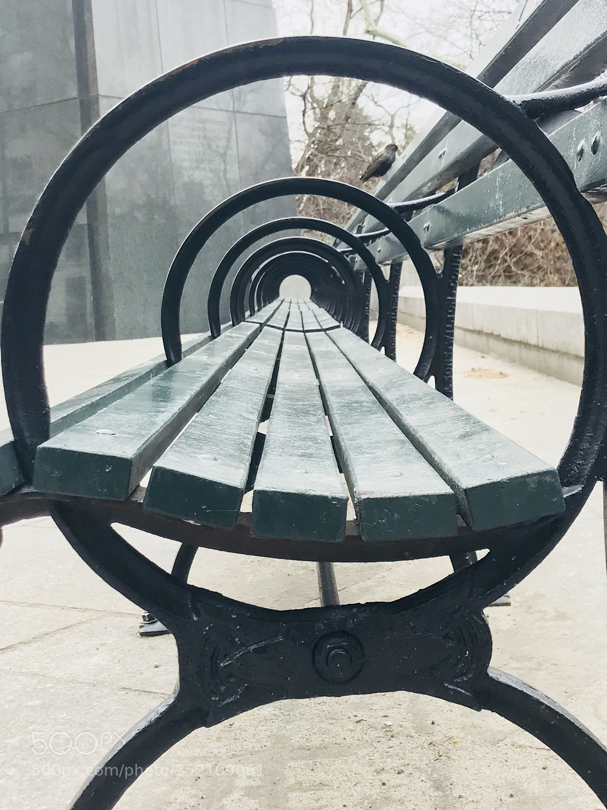 Apple iPhone 7 sample photo. Untitled photography