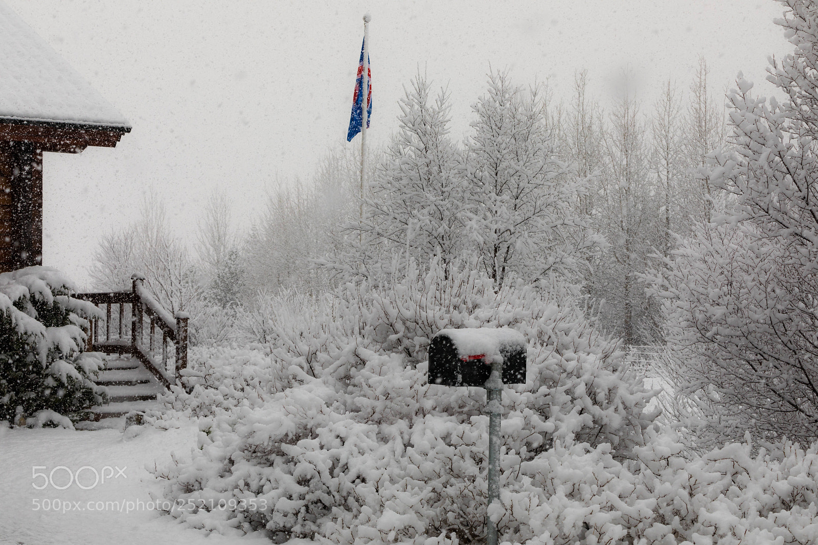 Canon EOS 5D Mark IV sample photo. Snow in april photography