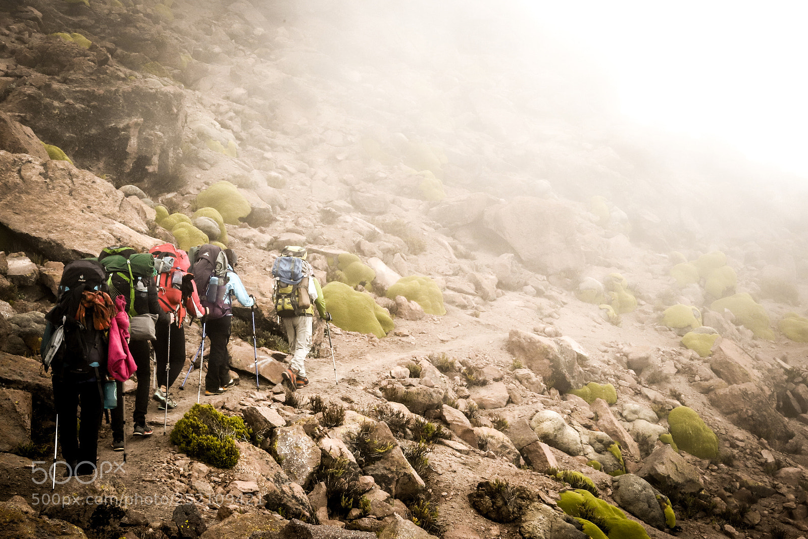 Canon EOS 6D Mark II sample photo. A misty walk photography