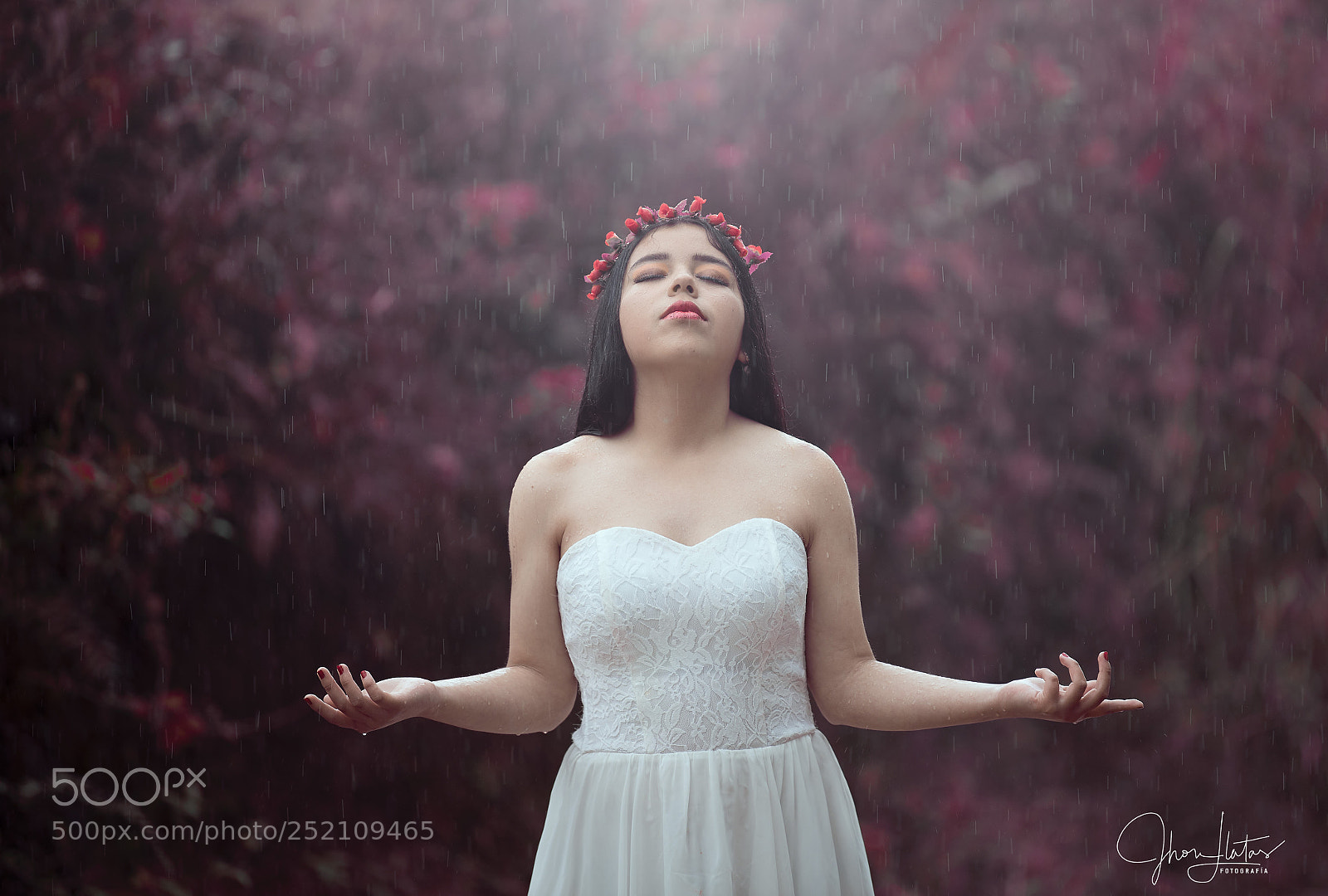 Nikon D5 sample photo. Lluvia photography