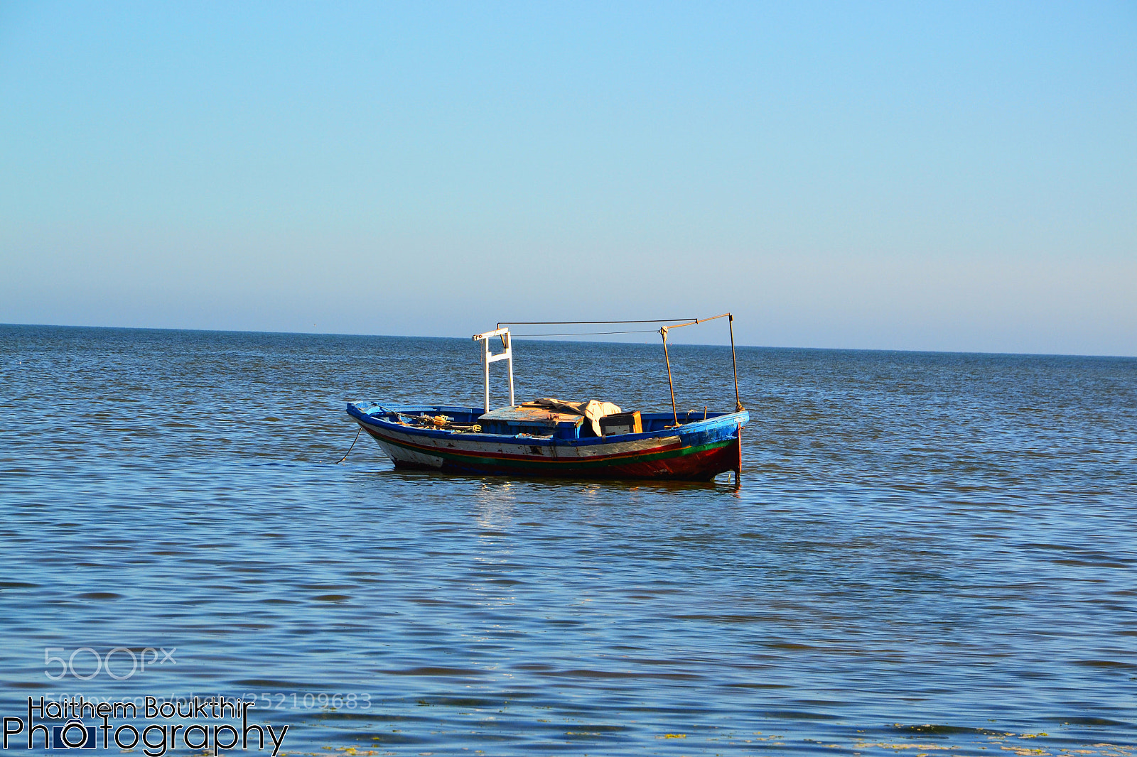 Nikon D3100 sample photo. Untitled photography
