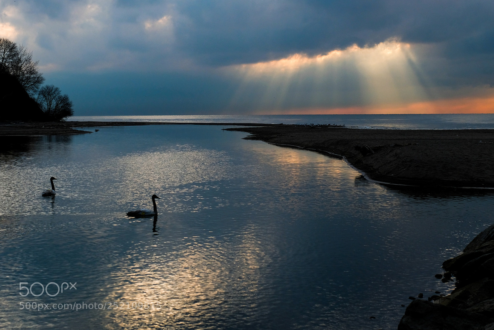 Fujifilm X-T2 sample photo. Morning swim photography