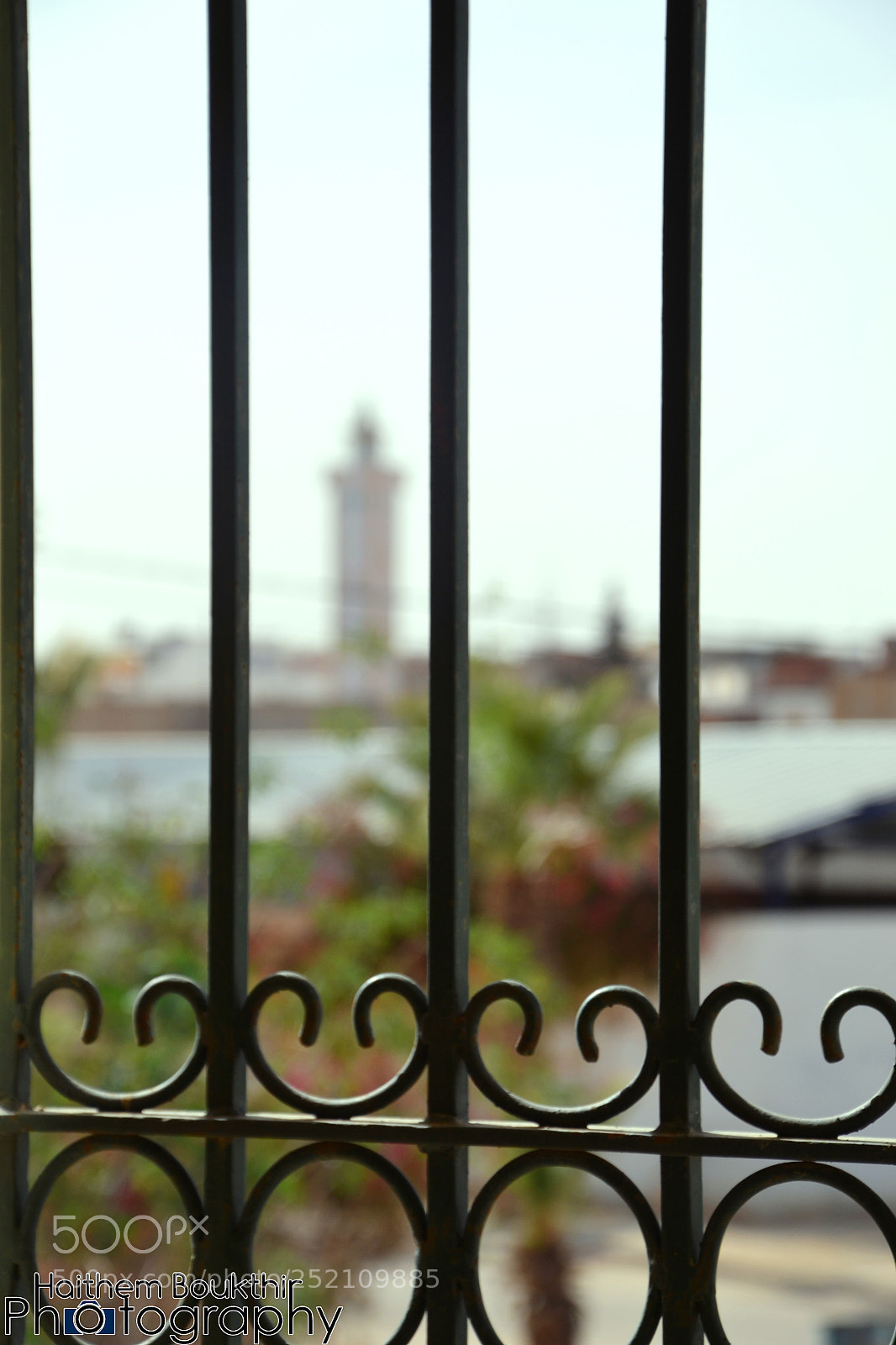 Nikon D3100 sample photo. Untitled photography