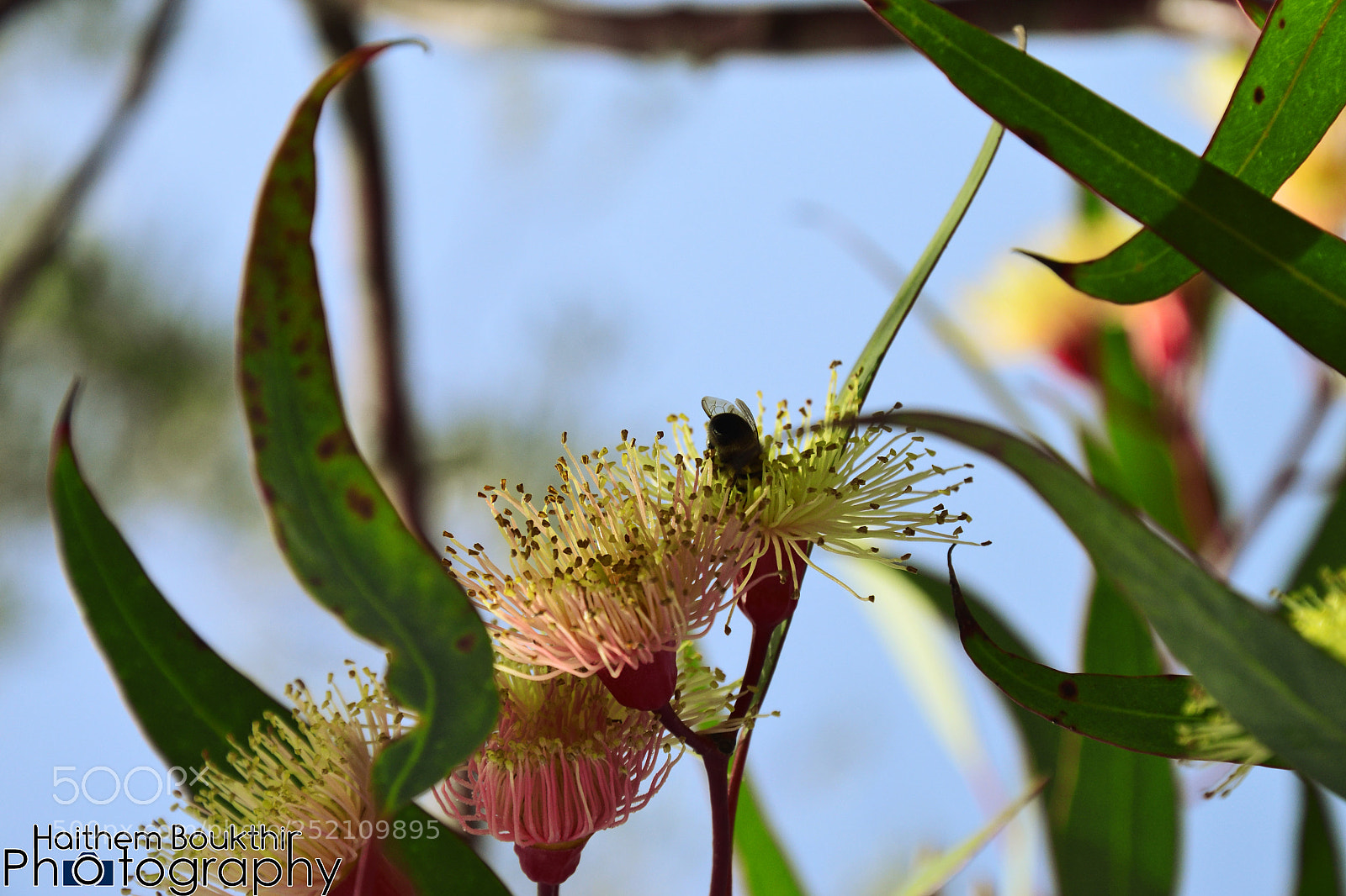 Nikon D3100 sample photo. Untitled photography