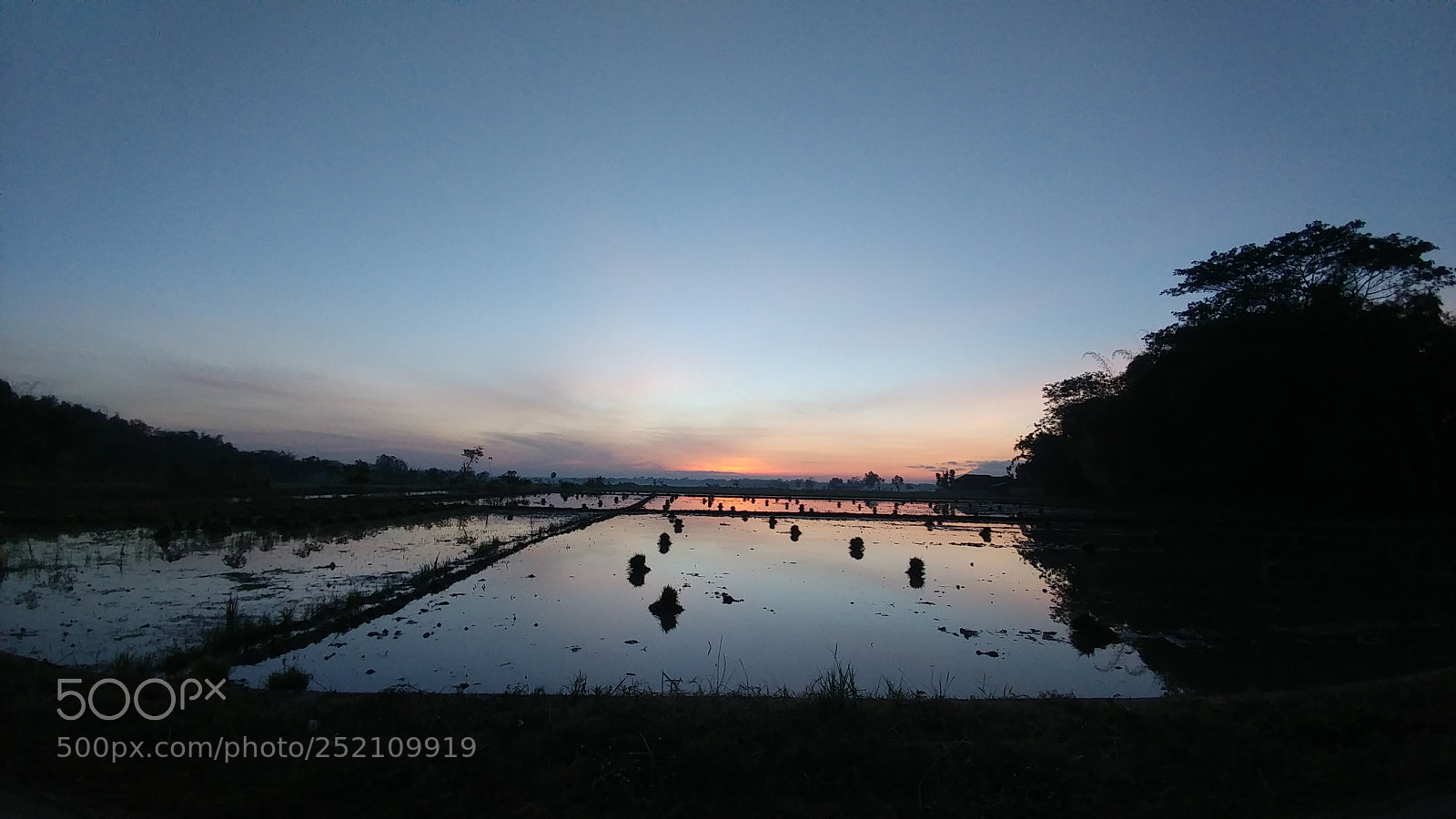 LG V20 sample photo. Untitled photography