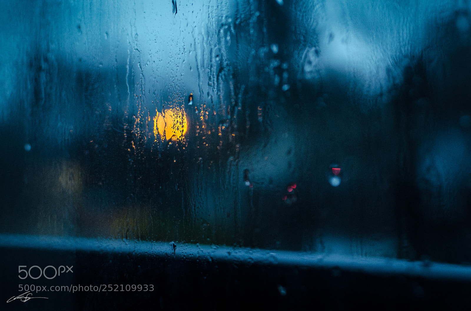 Nikon D5100 sample photo. Rain drops photography