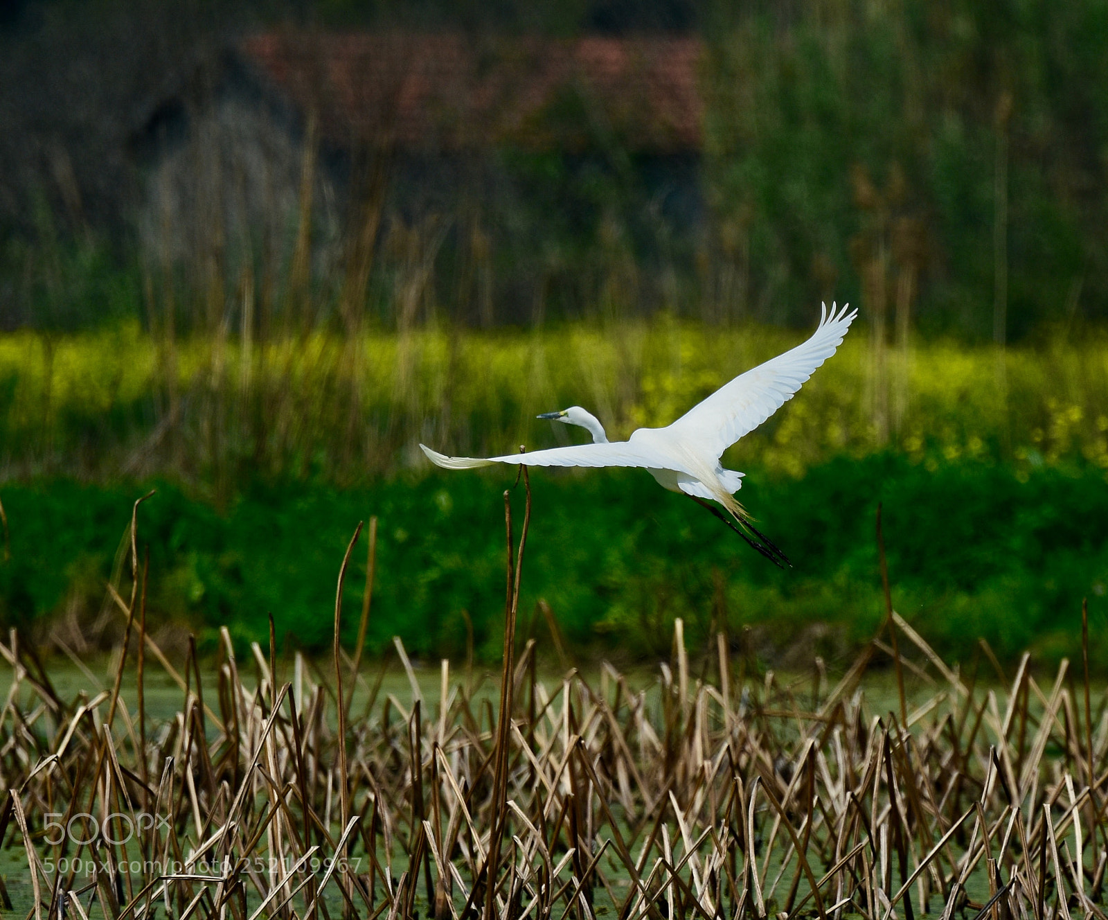 Nikon D7200 sample photo. In the countryside photography