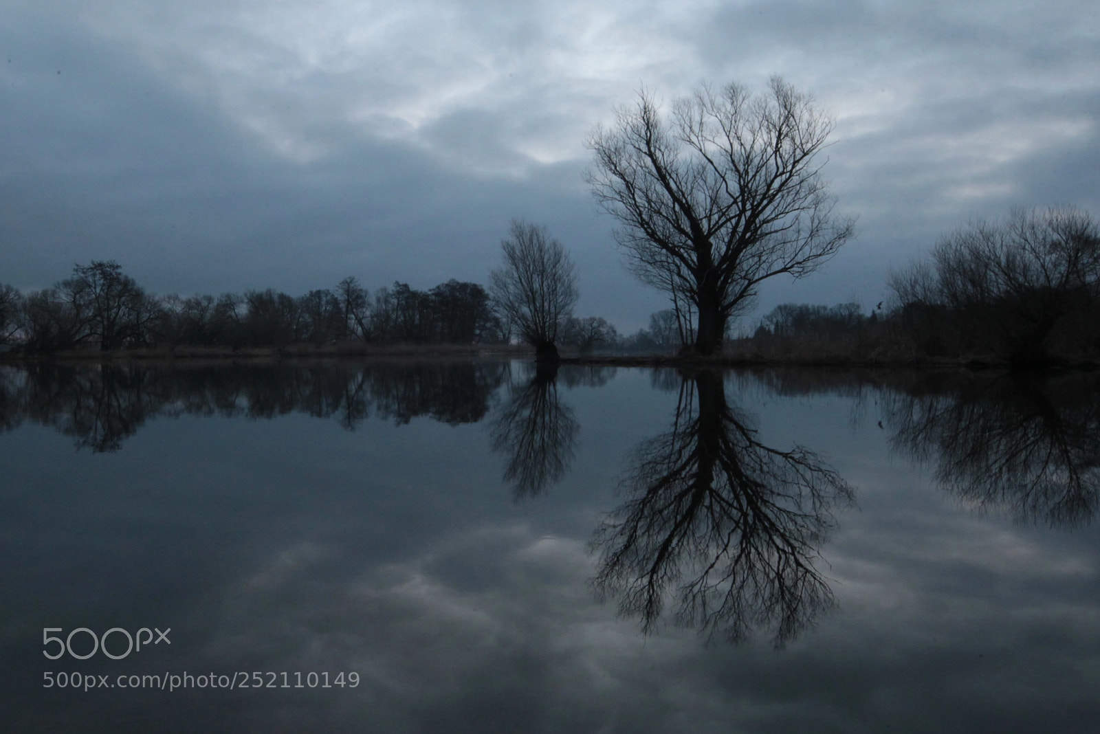 Canon EOS-1D Mark IV sample photo. Untitled photography