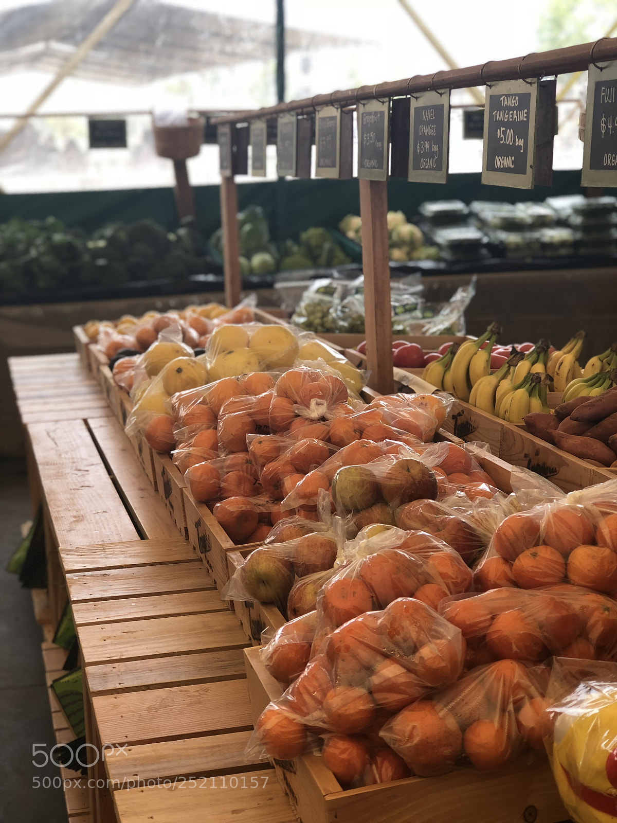 Apple iPhone 8 Plus sample photo. Img farmers market photography