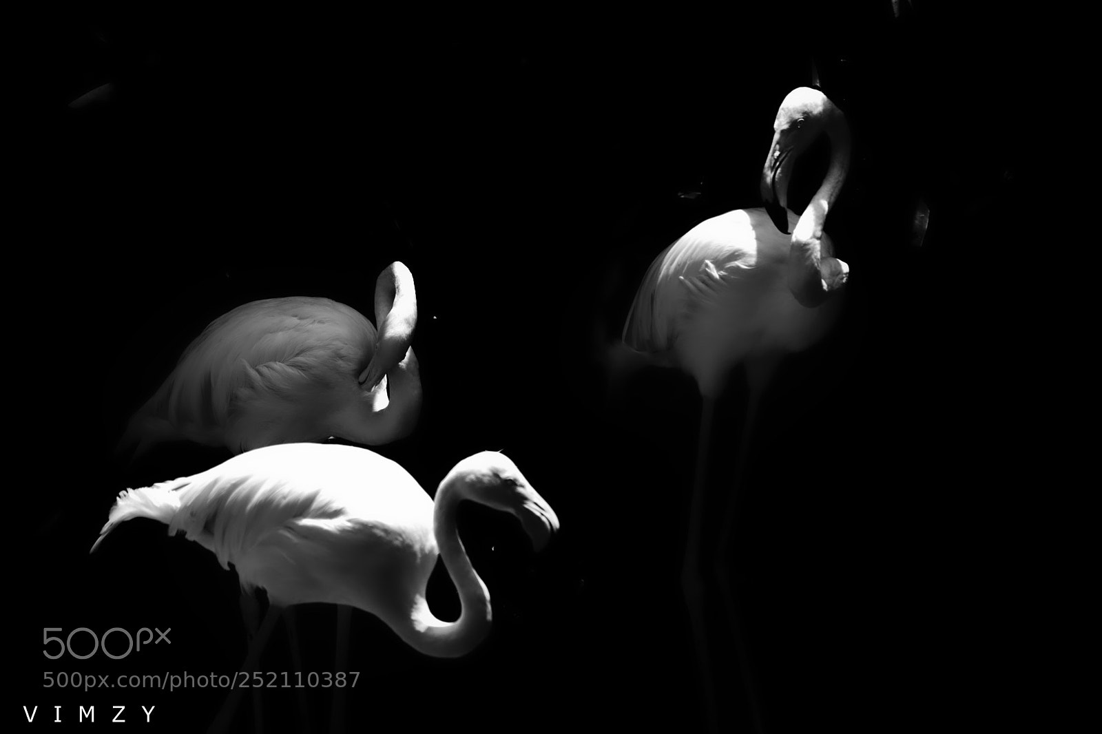 Nikon D7200 sample photo. Beauty of b&w photography