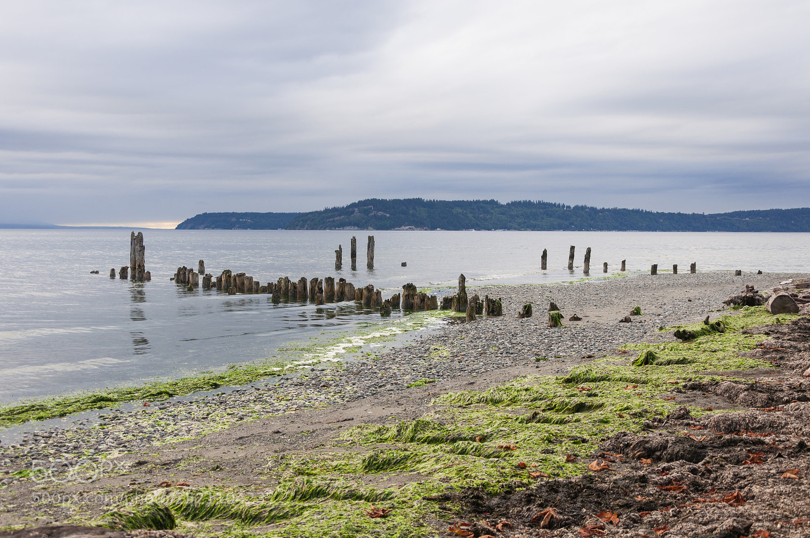 Nikon D90 sample photo. Beach of wood and photography