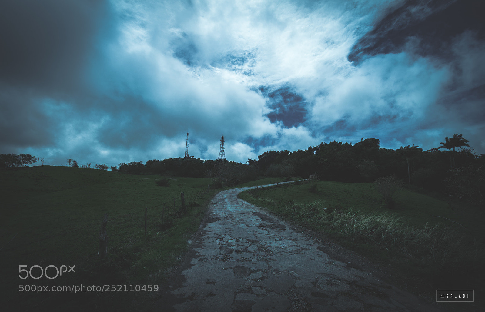Nikon D5300 sample photo. The pathway ii photography