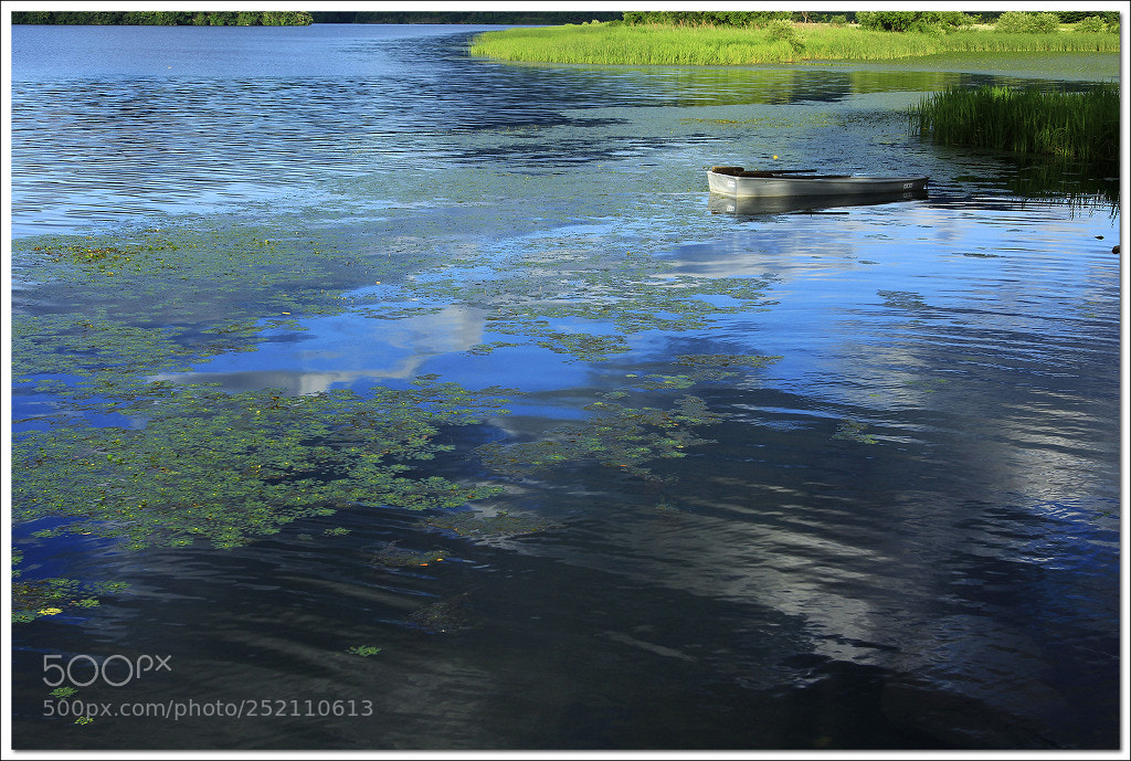 Canon EOS 60D sample photo. Untitled photography