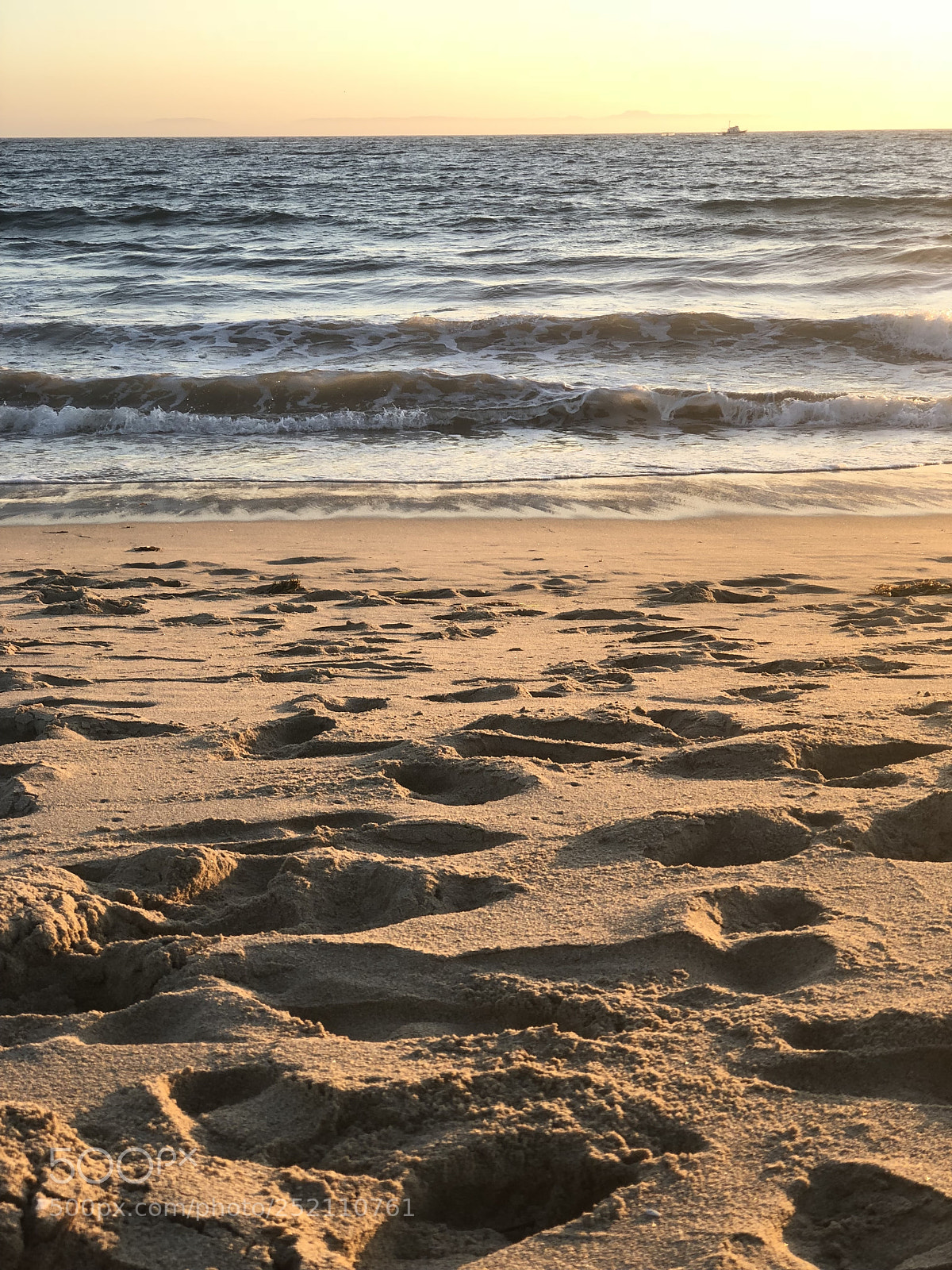 Apple iPhone 8 Plus sample photo. Img golden newport beach photography