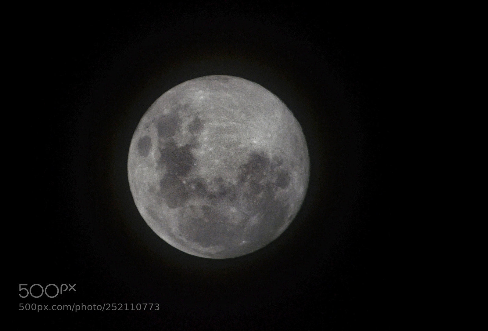 Nikon D7000 sample photo. Lua photography