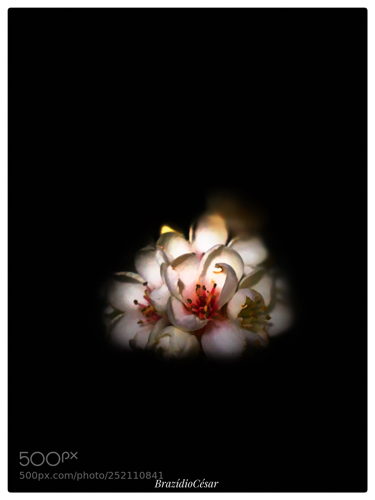 Apple iPhone 6s sample photo. Untitled photography