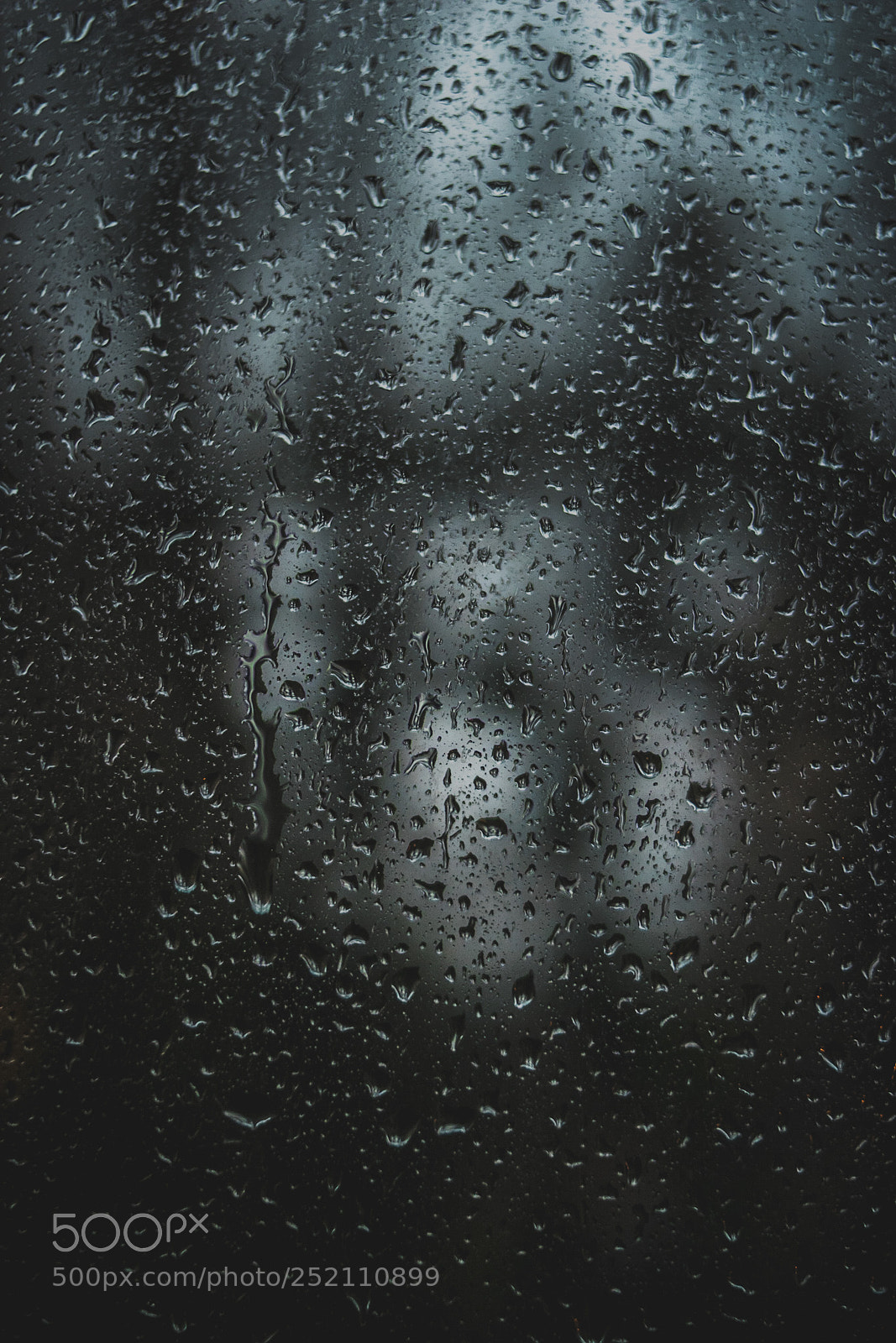 Nikon D5300 sample photo. Under rain photography