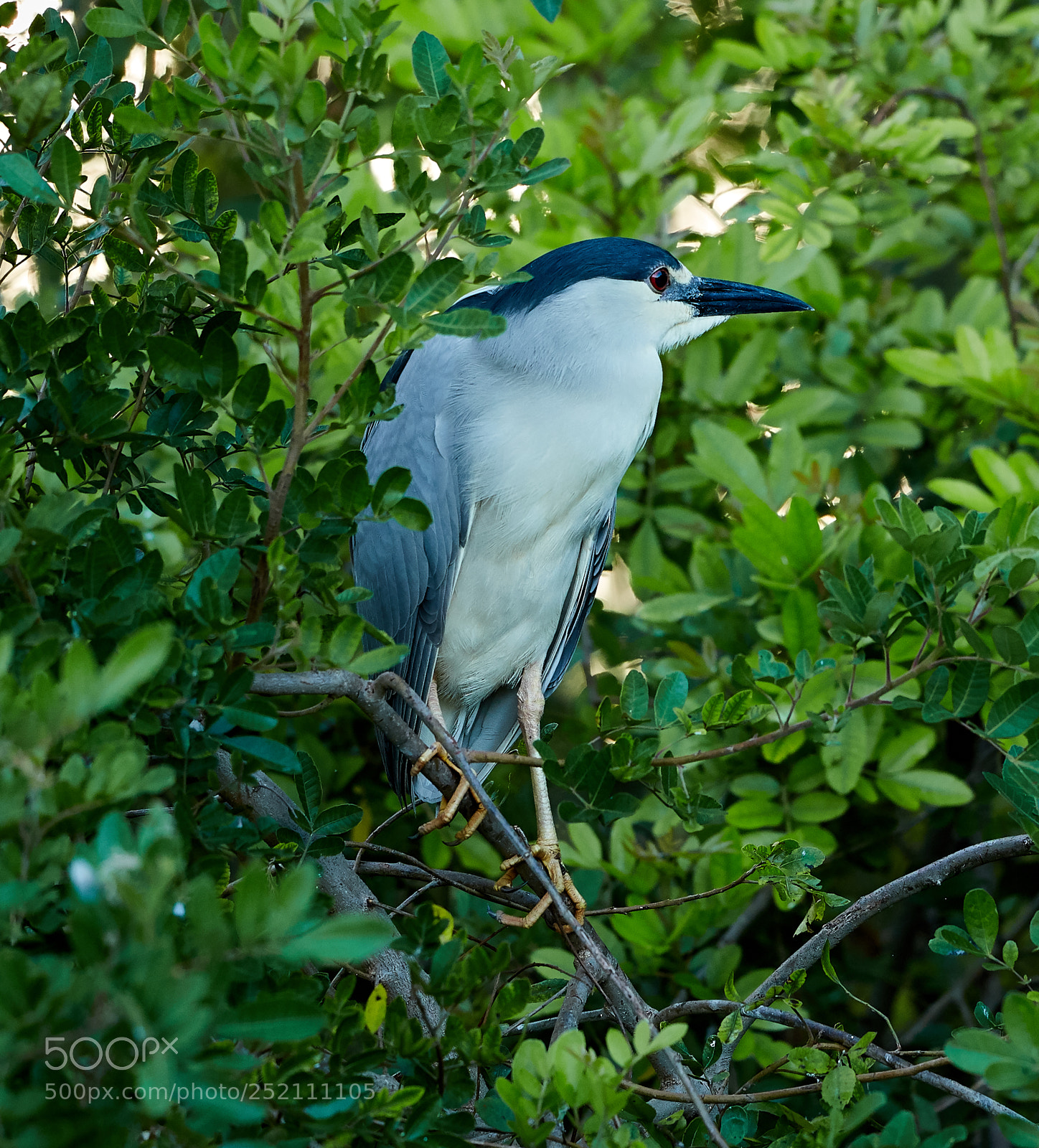 Canon EOS 5DS R sample photo. 04-03-18-0010559.jpg photography