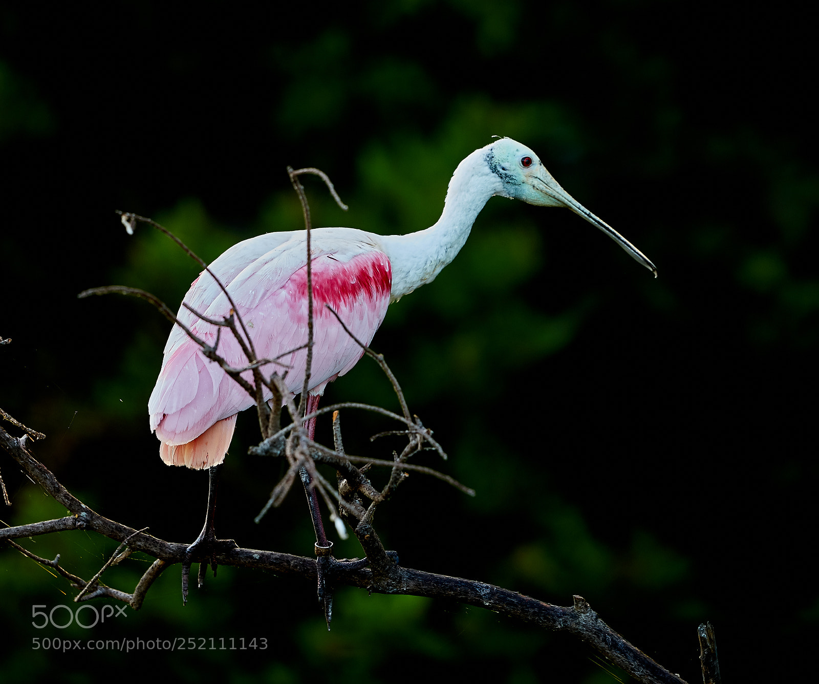 Canon EOS 5DS R sample photo. 04-03-18-0010524.jpg photography
