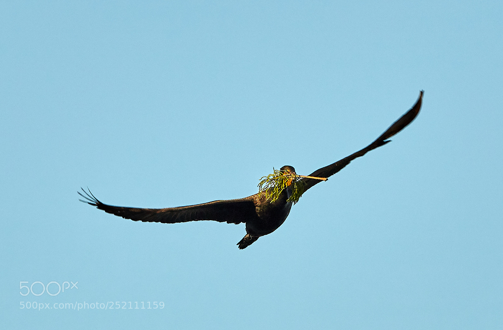 Canon EOS 5DS R sample photo. 04-03-18-0010501.jpg photography