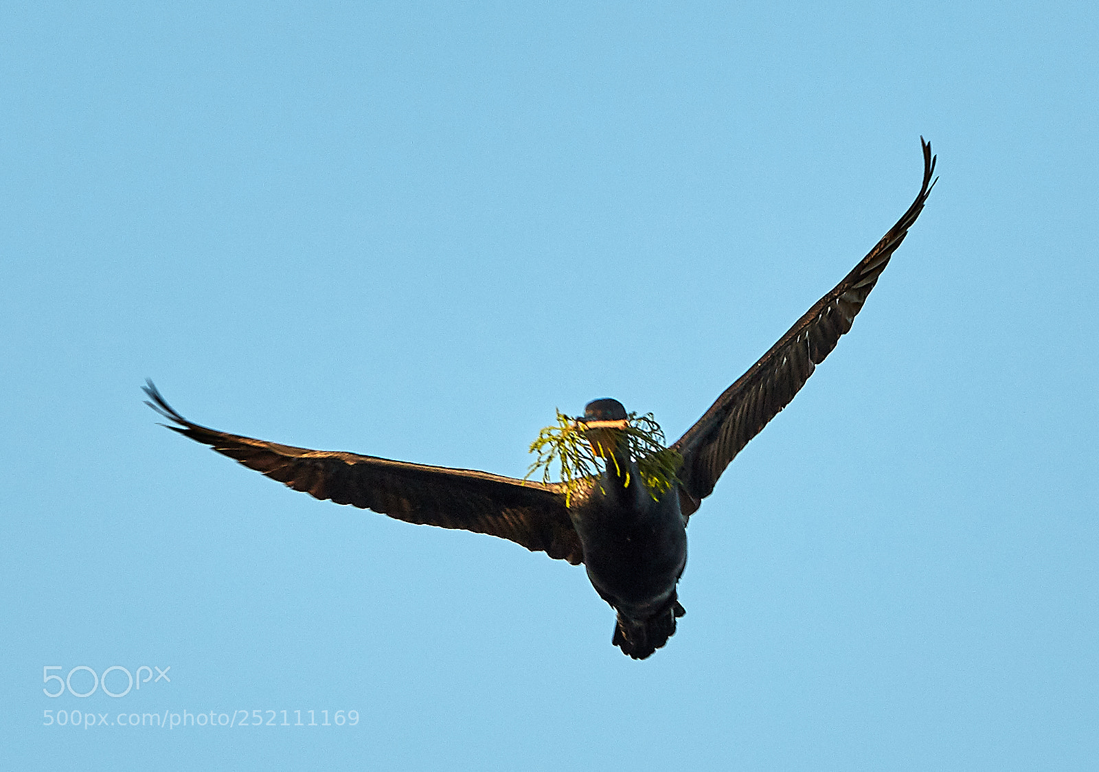 Canon EOS 5DS R sample photo. 04-03-18-0010500.jpg photography