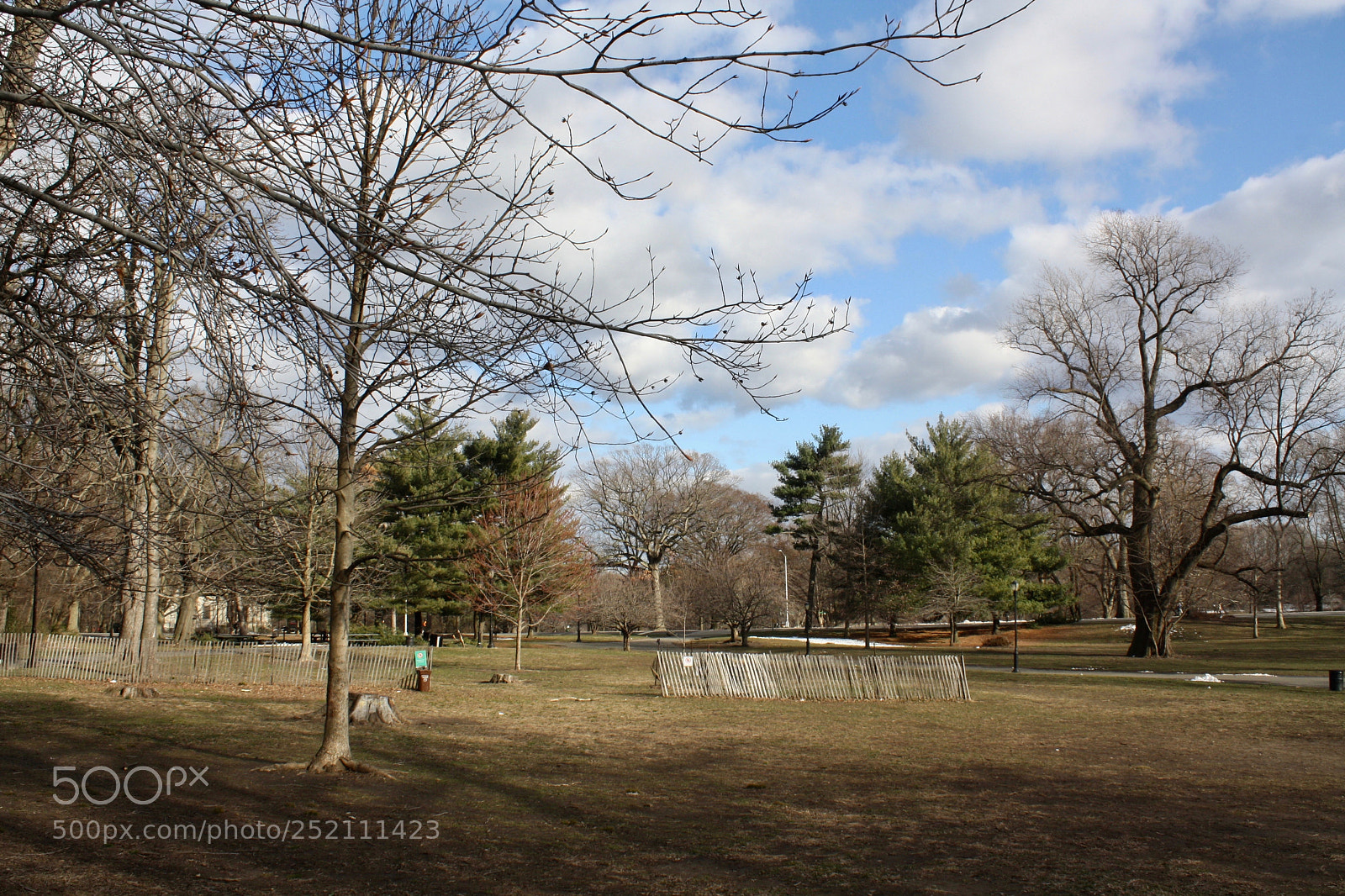 Canon EOS 1000D (EOS Digital Rebel XS / EOS Kiss F) sample photo. Brooklyn, ny, march 2018 photography