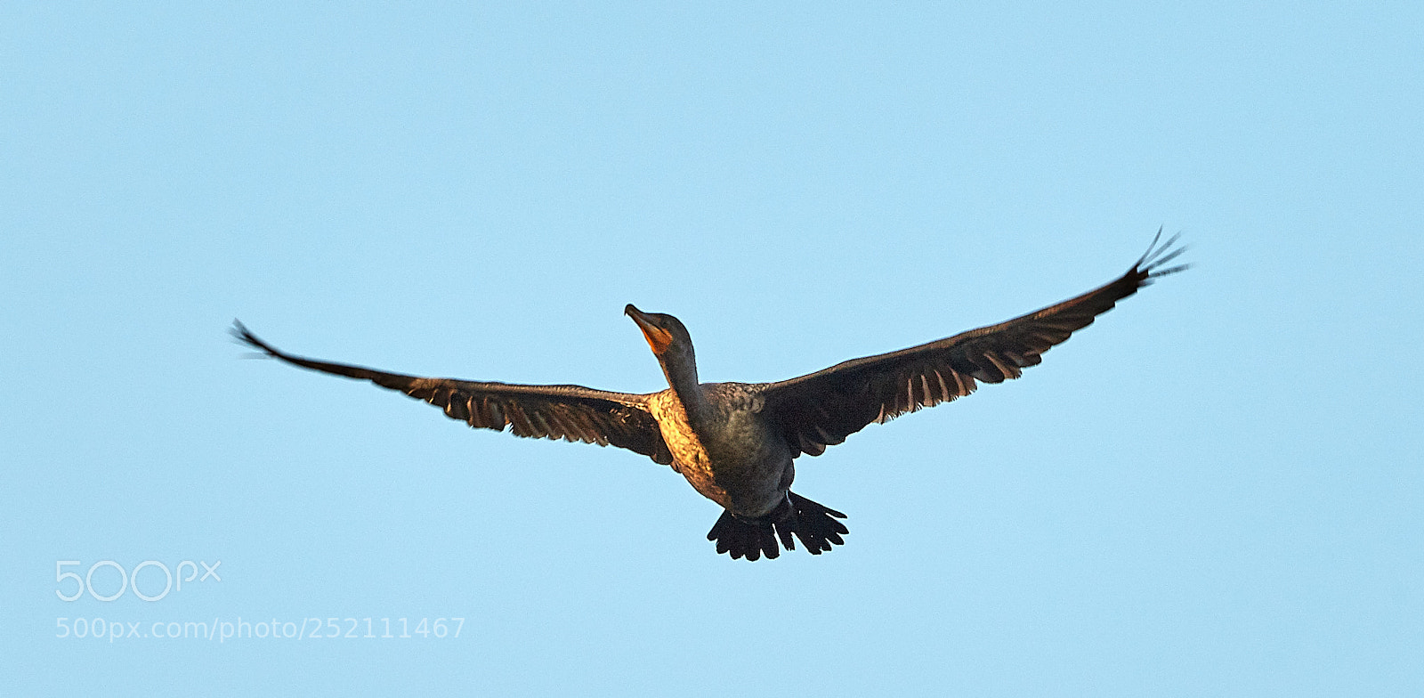 Canon EOS 5DS R sample photo. 04-03-18-0010480.jpg photography