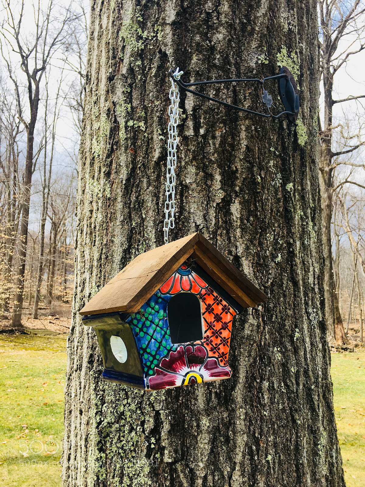 Apple iPhone 6s Plus sample photo. Bird house  photography