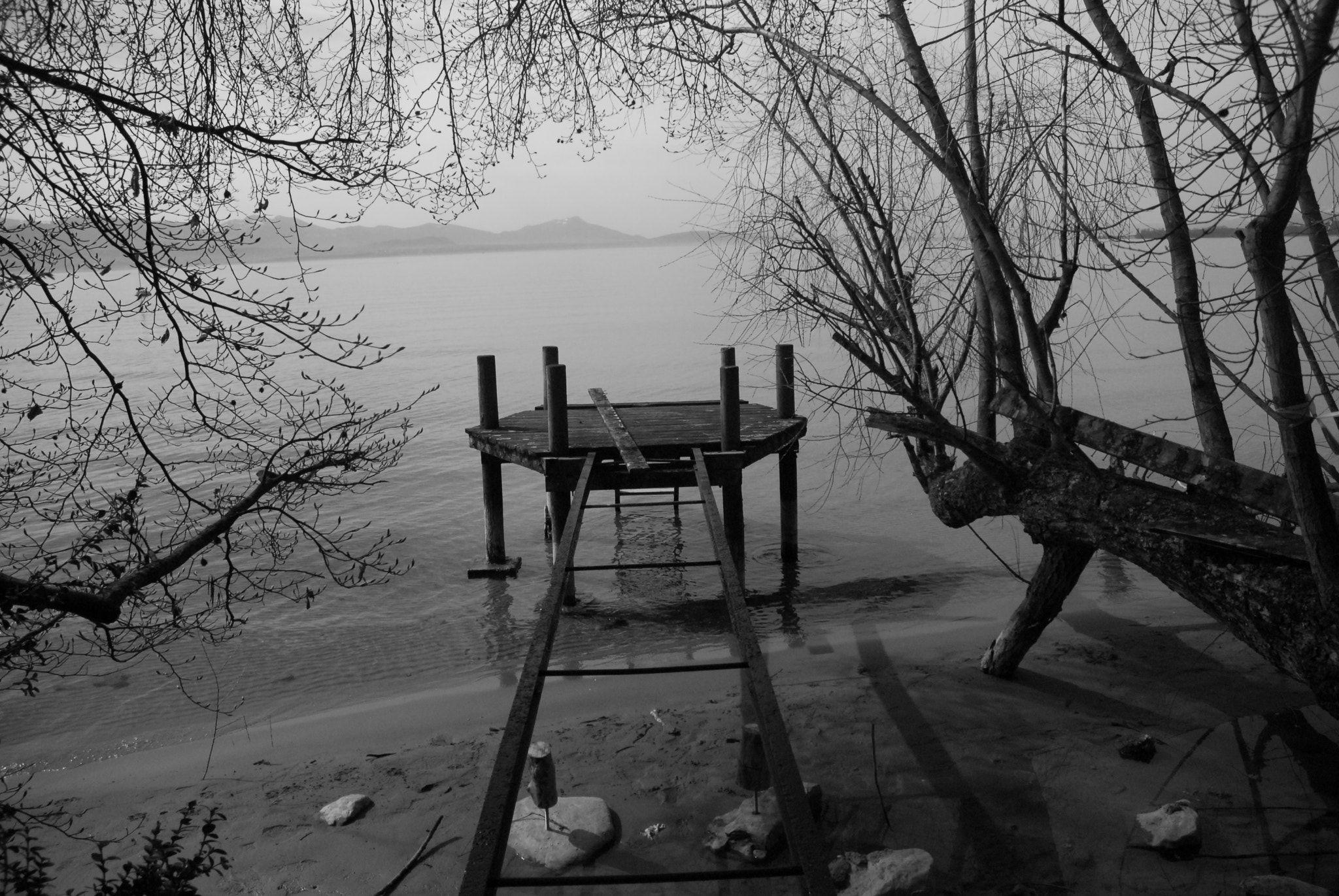 Nikon D200 sample photo