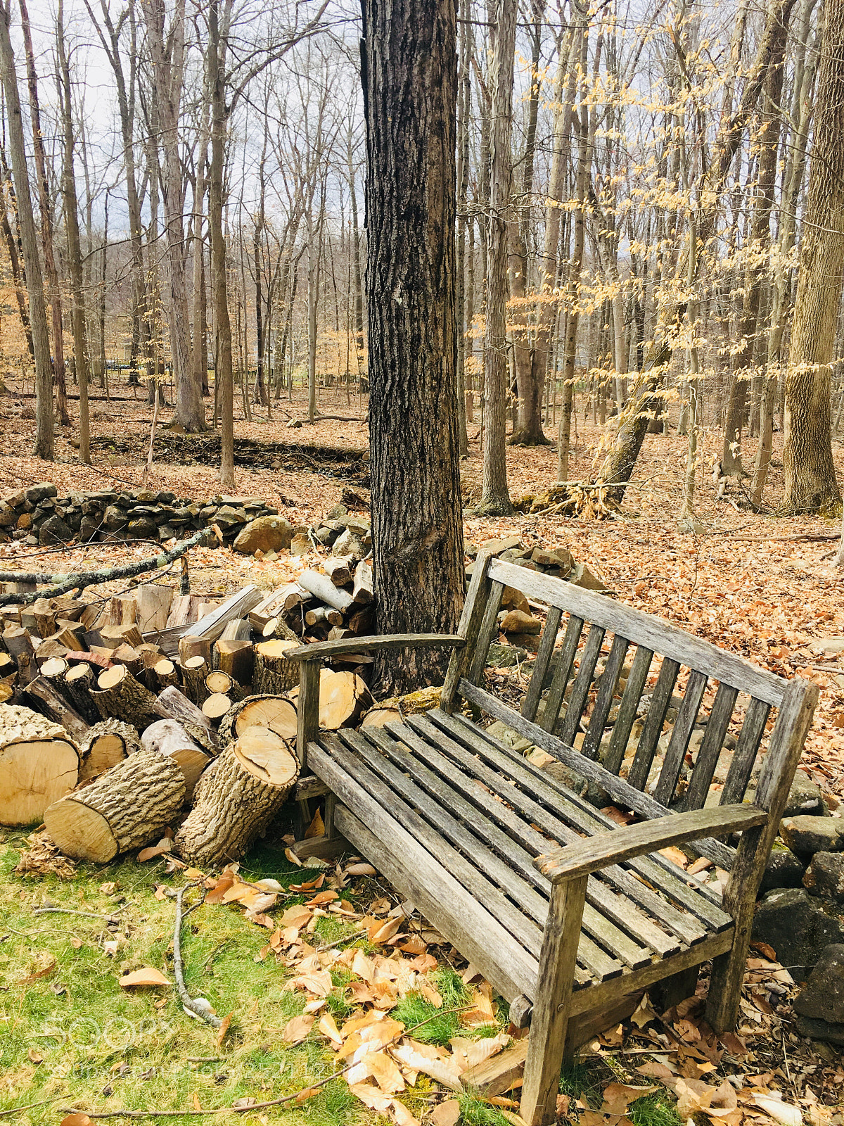 Apple iPhone 6s Plus sample photo. Abandoned bench  photography