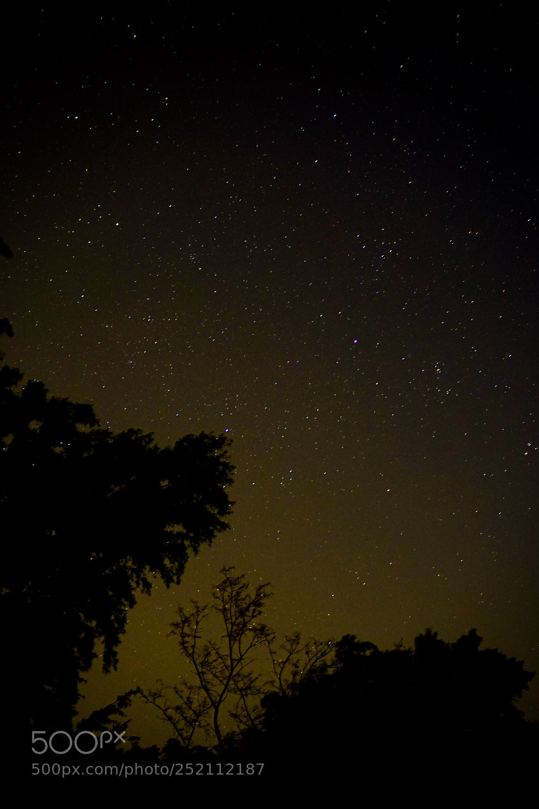 Sony a6000 sample photo. Count your blessing photography