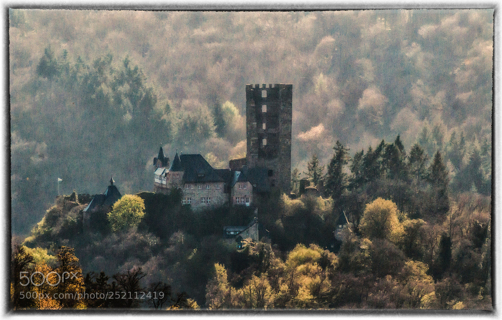 Nikon D90 sample photo. Ruine sauerburg photography