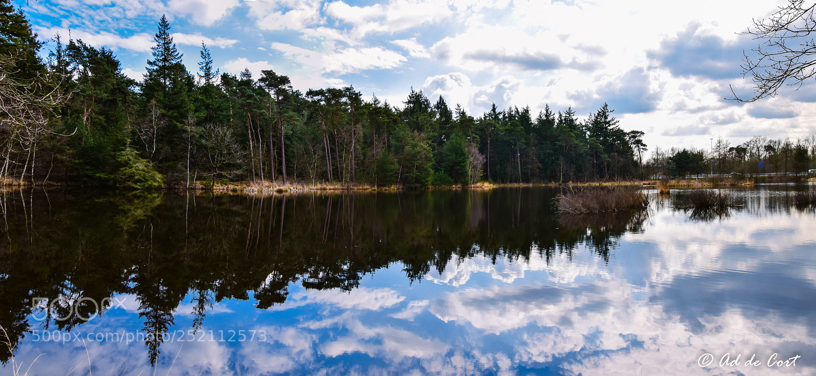 Nikon D5300 sample photo. Venrode, pond photography
