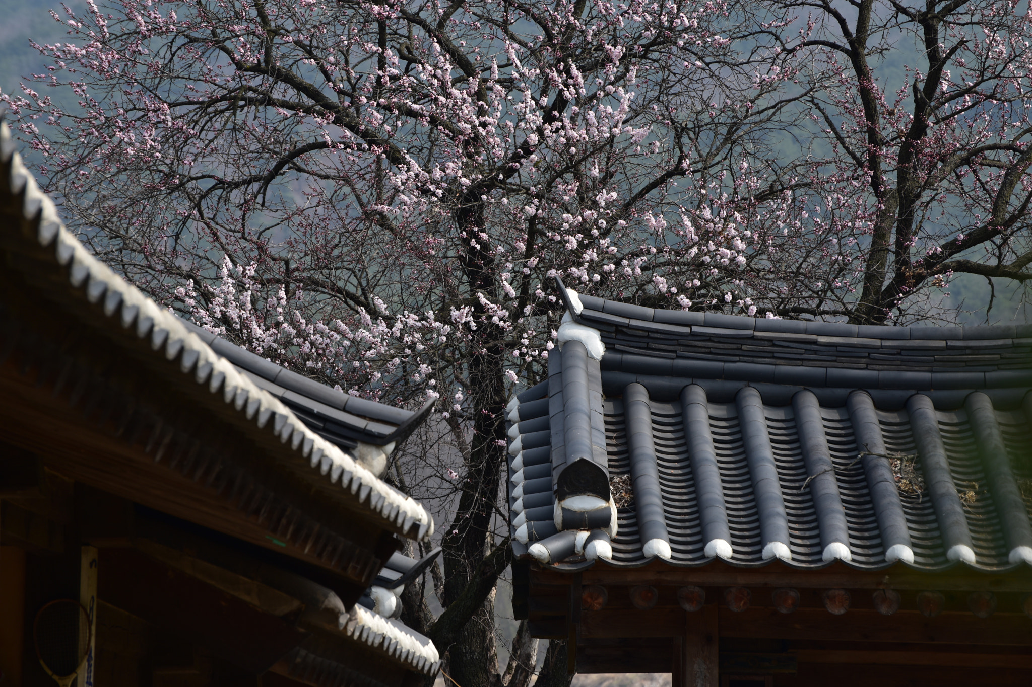 Nikon D810 sample photo